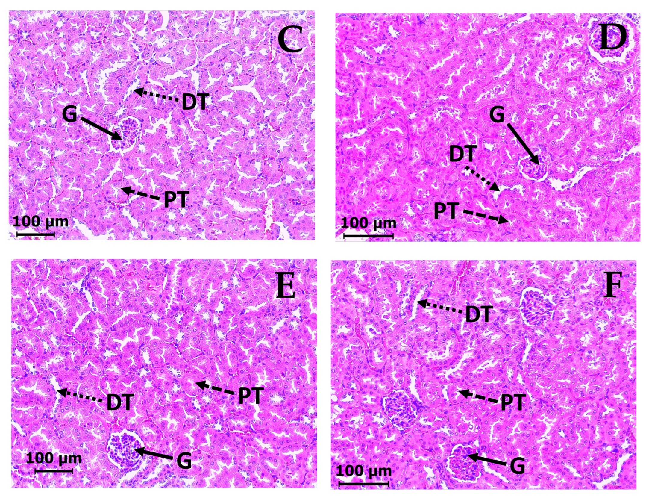 Molecules 30 03849 g008b