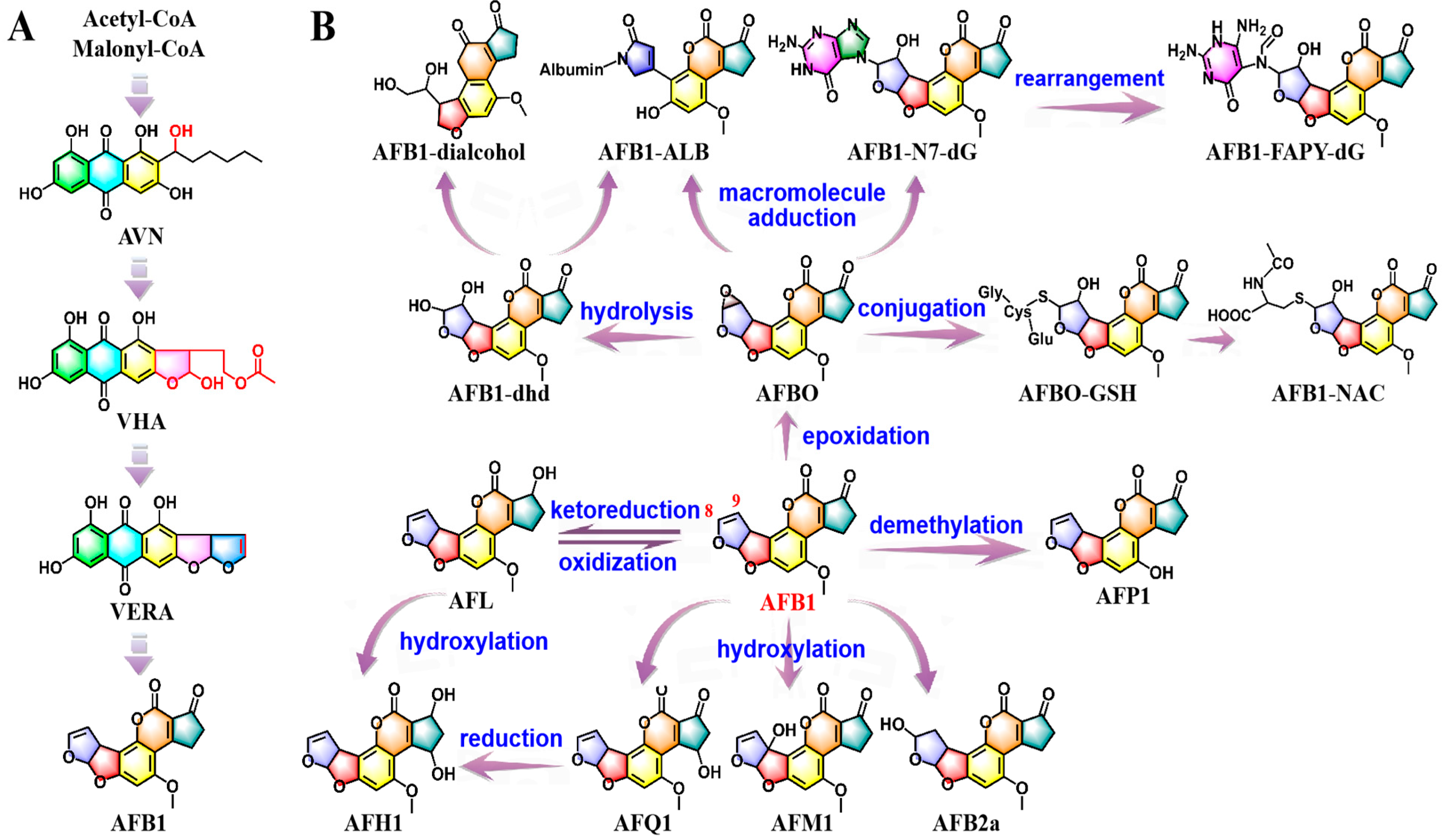 Molecules 30 03860 g001