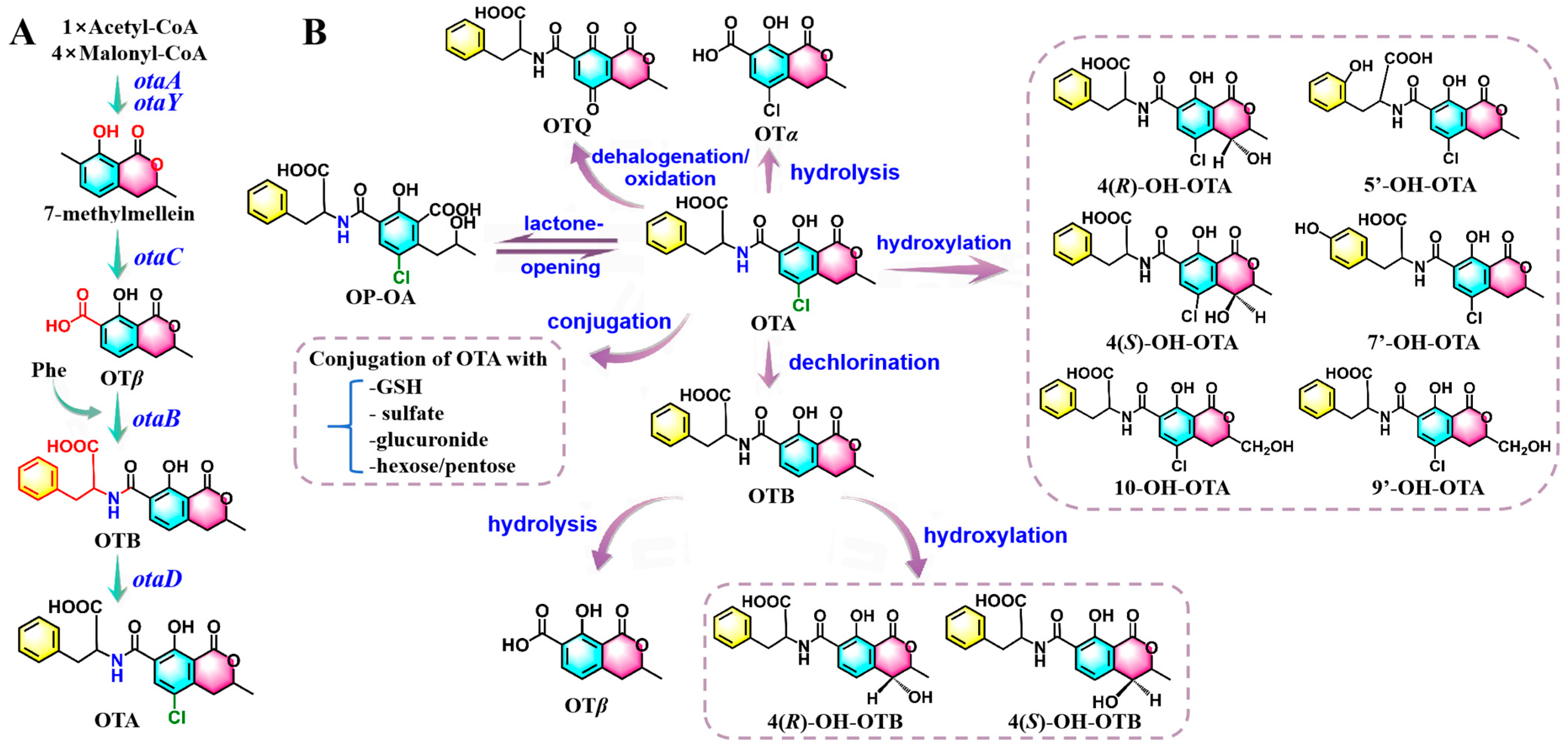 Molecules 30 03860 g002
