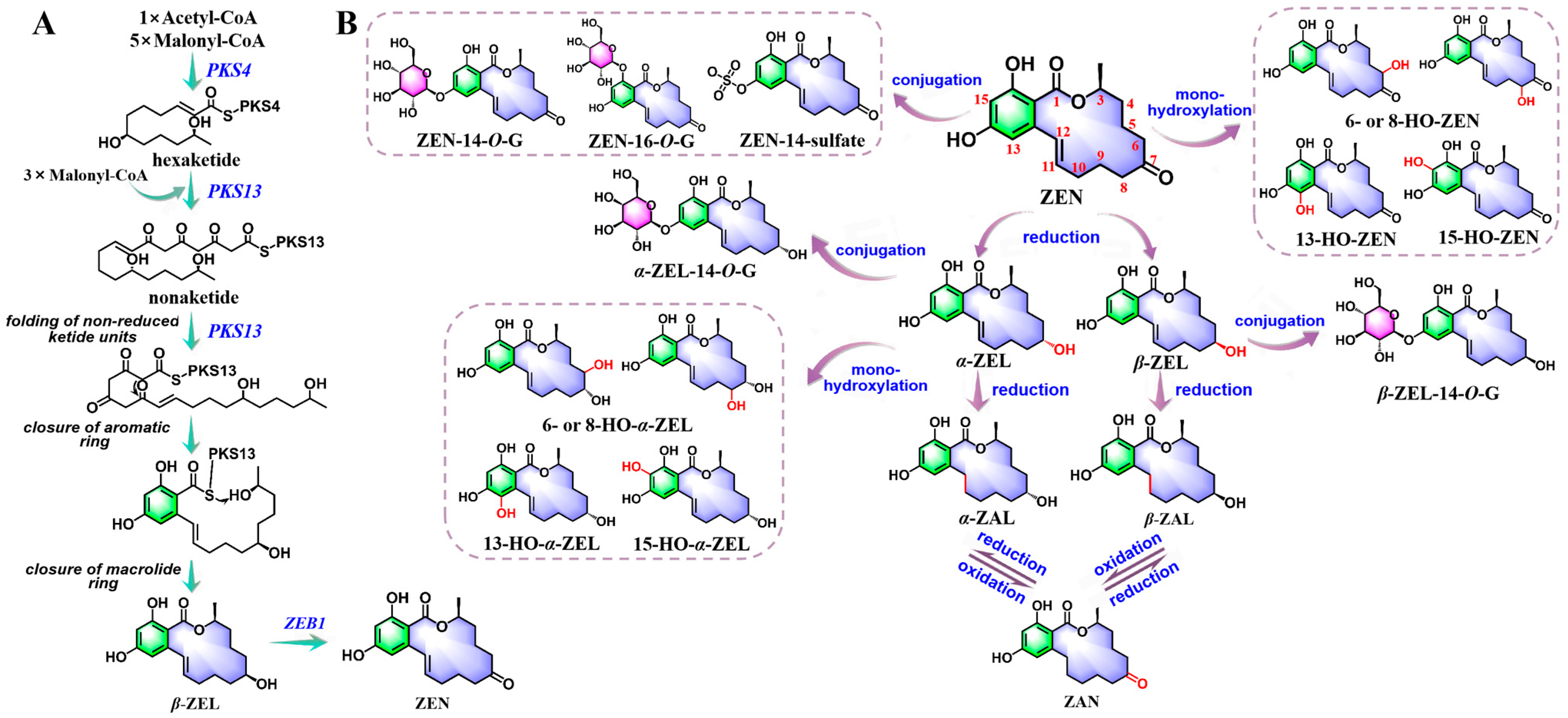 Molecules 30 03860 g003