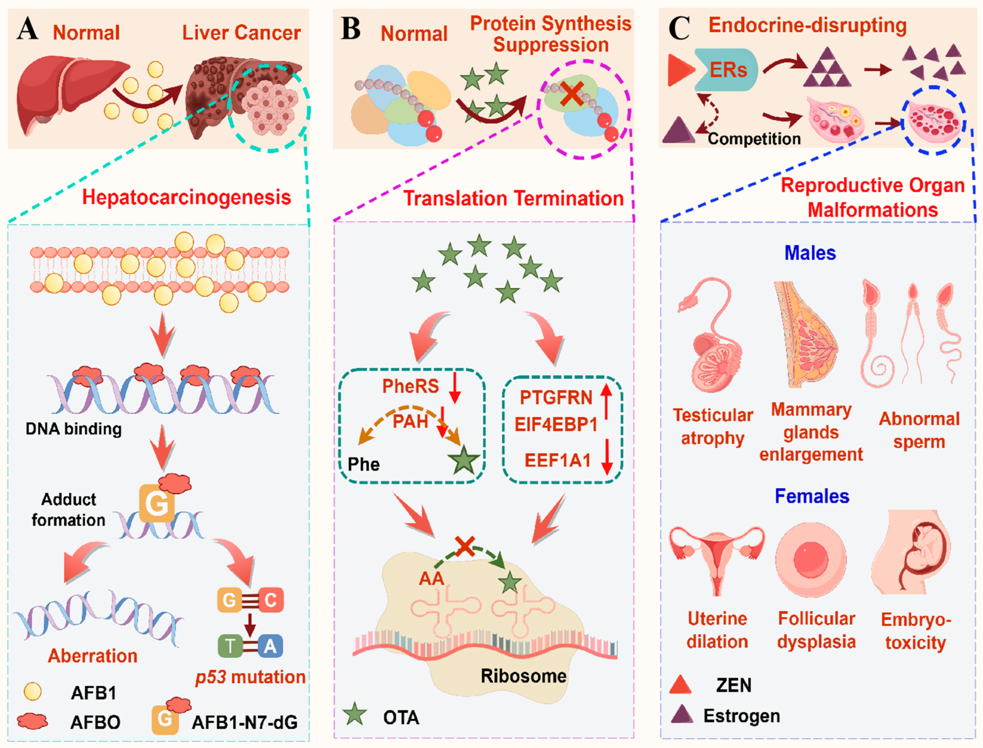 Molecules 30 03860 g004