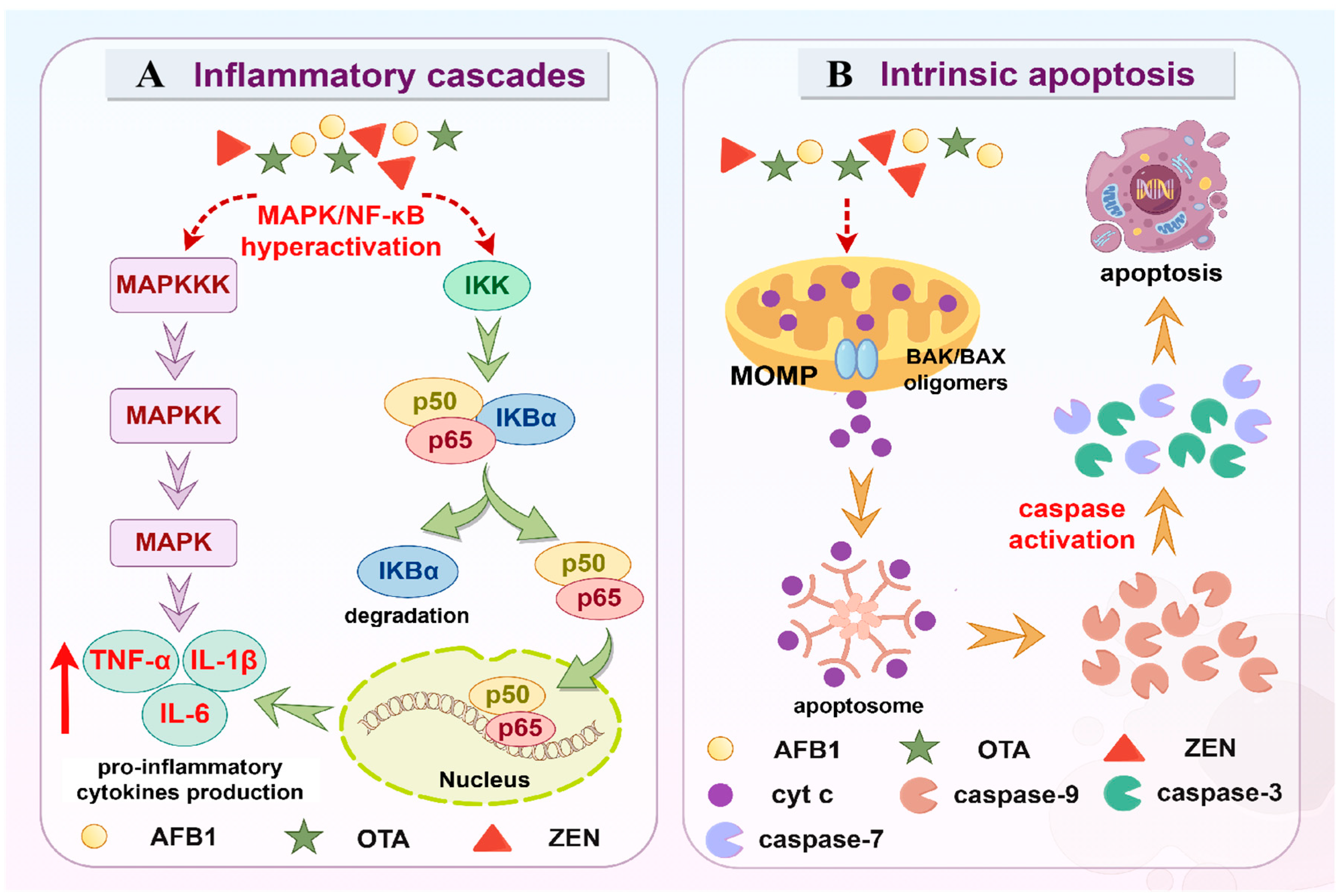 Molecules 30 03860 g006
