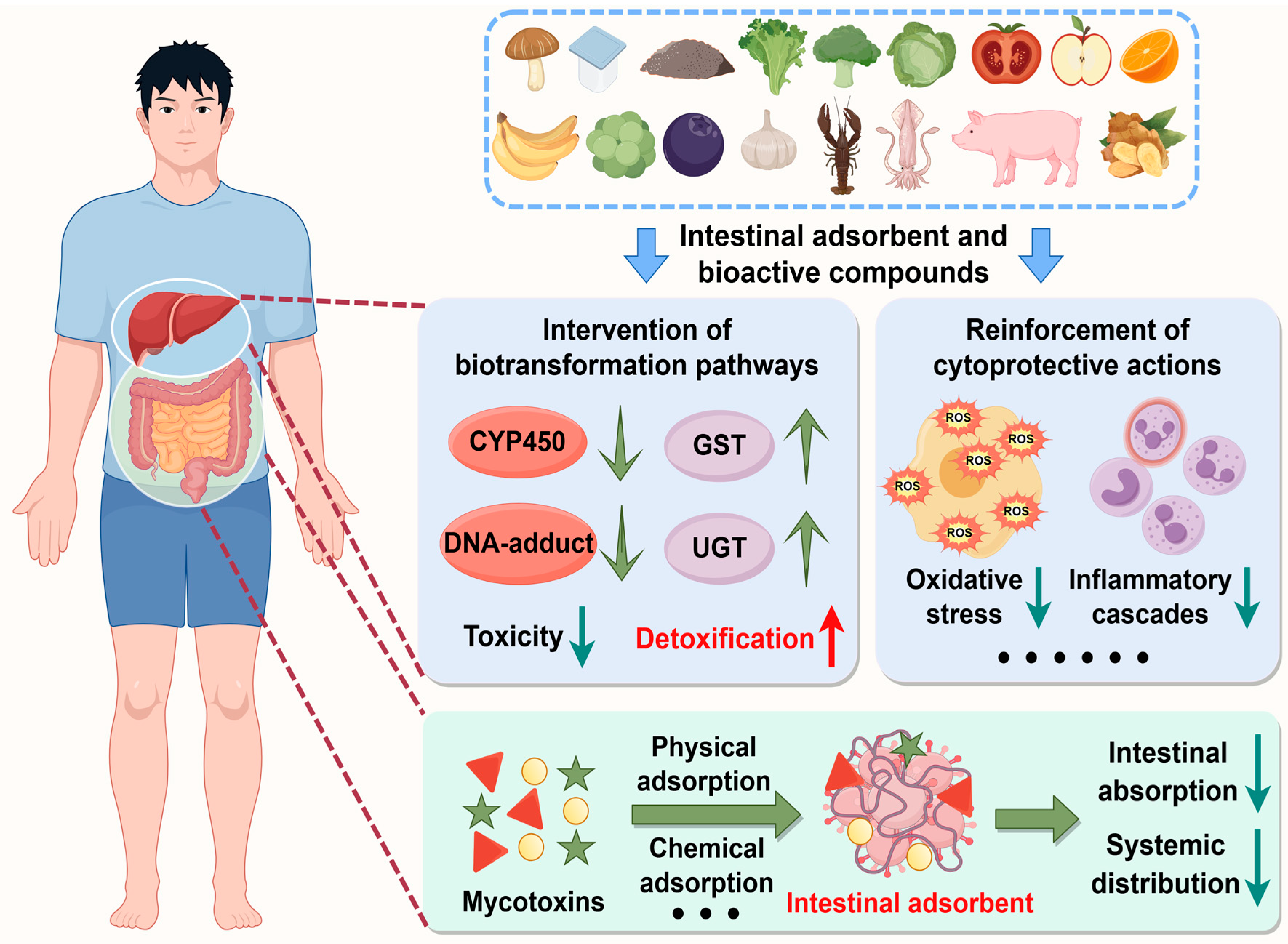 Molecules 30 03860 g007