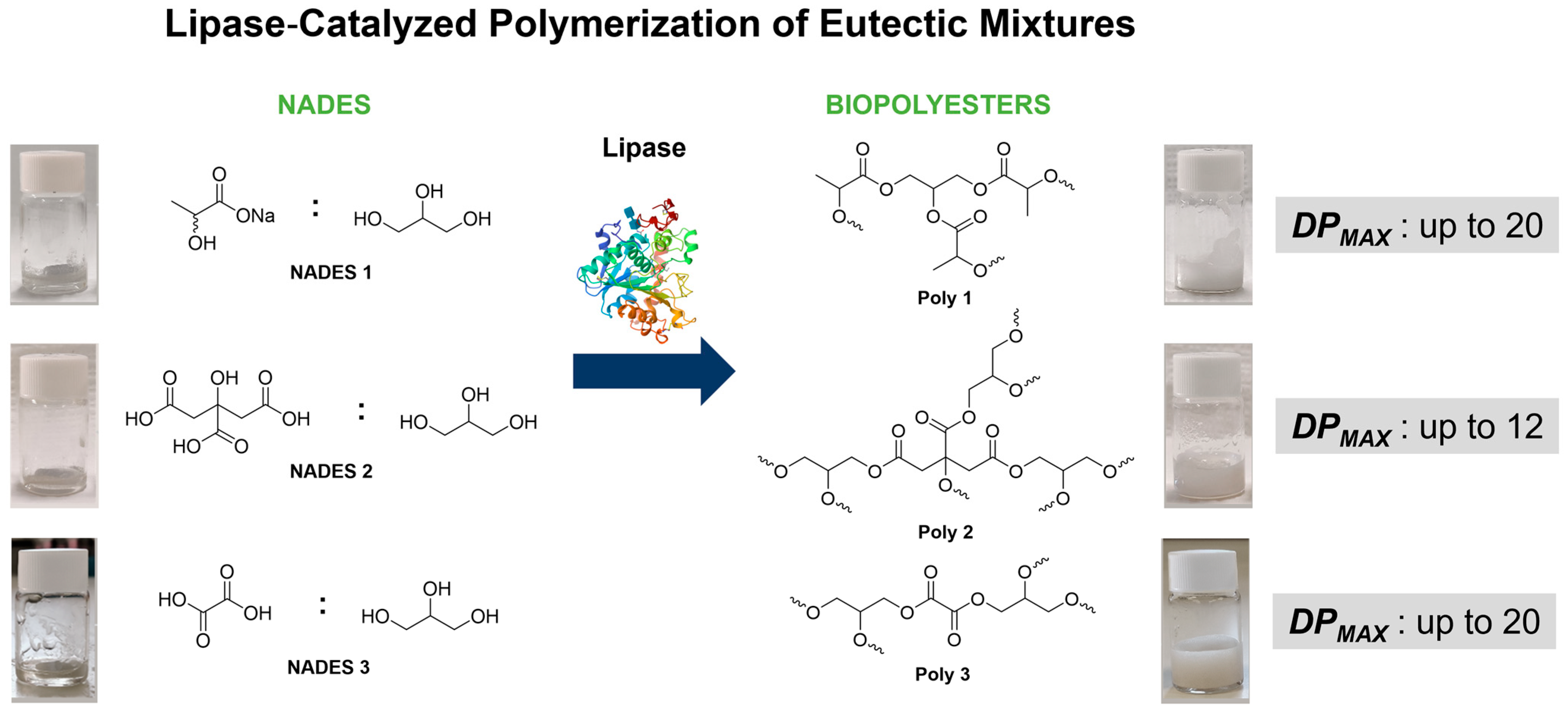 Molecules 30 03862 g001 Molecules 30 03862 g001
