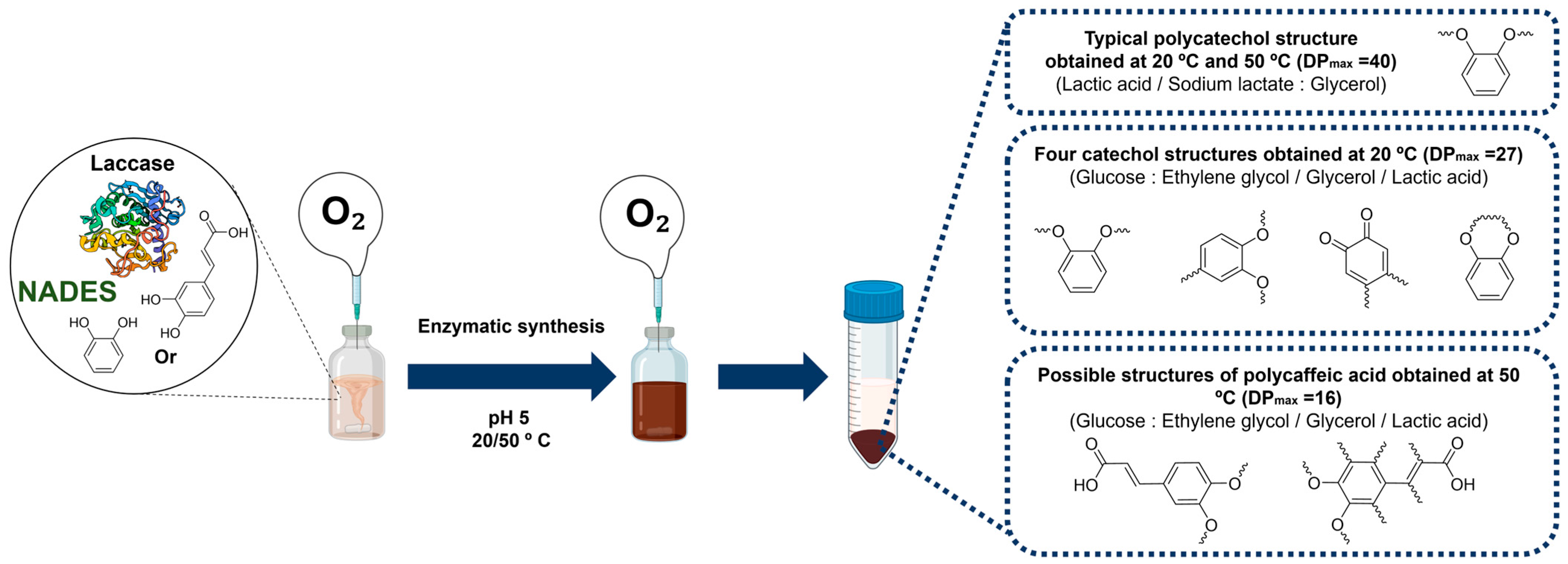 Molecules 30 03862 g002 Molecules 30 03862 g002