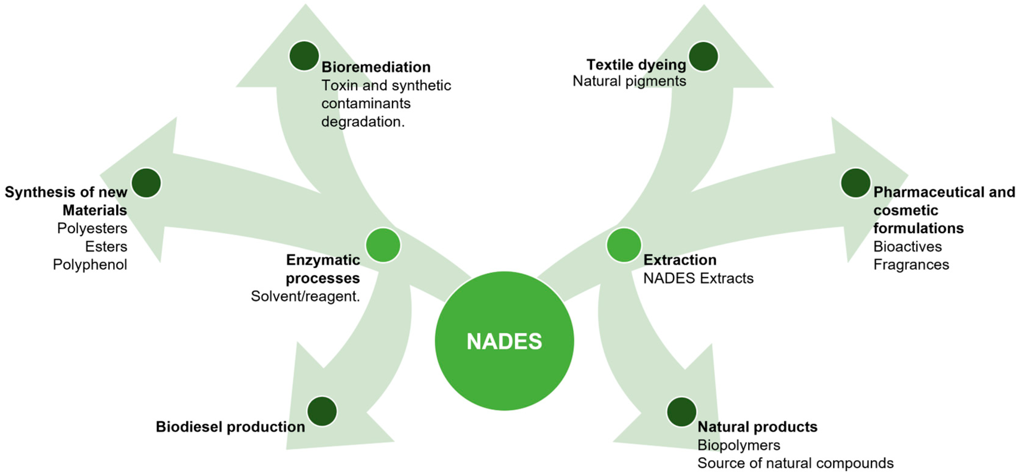 Molecules 30 03862 g005 Molecules 30 03862 g005