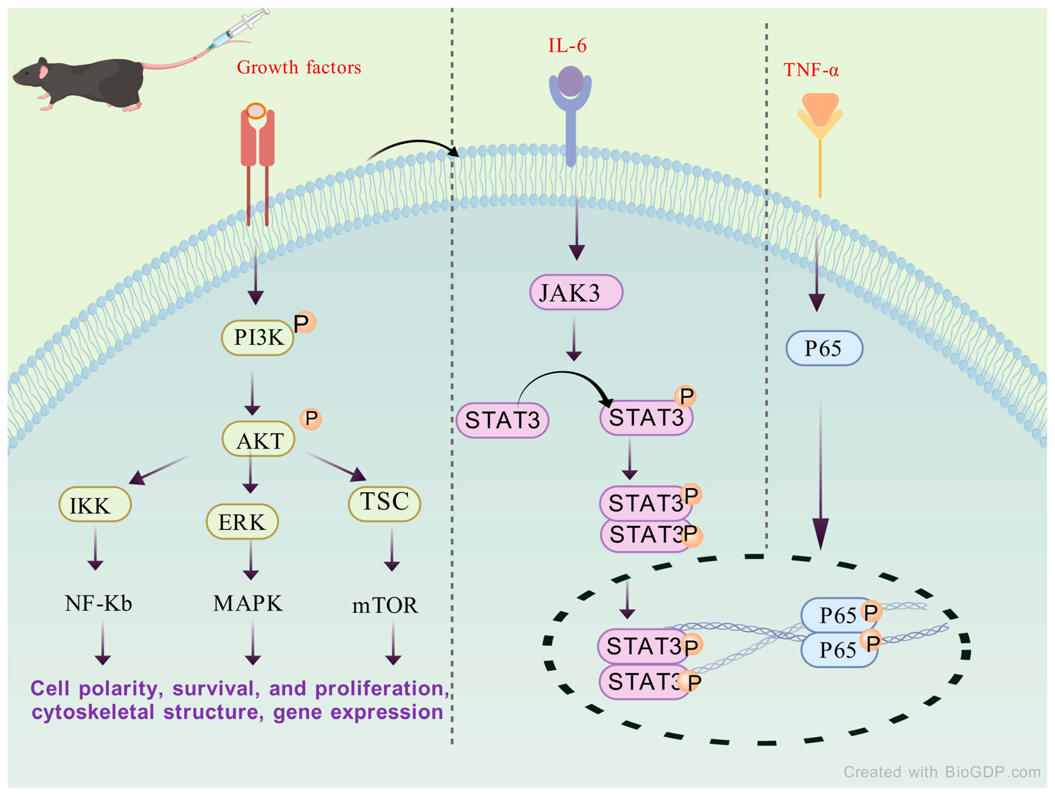 Molecules 30 03865 g004