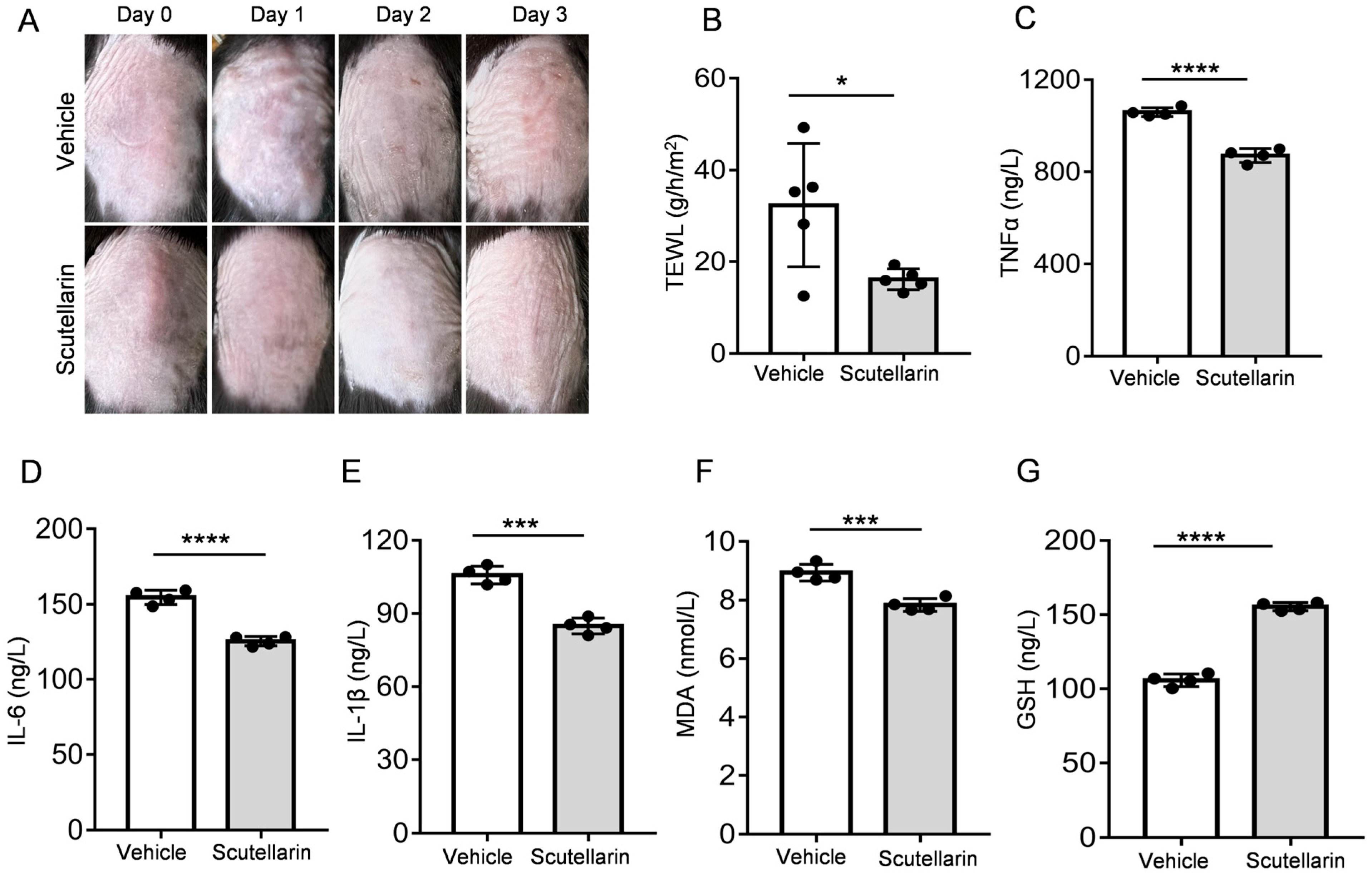 Molecules 30 03867 g003
