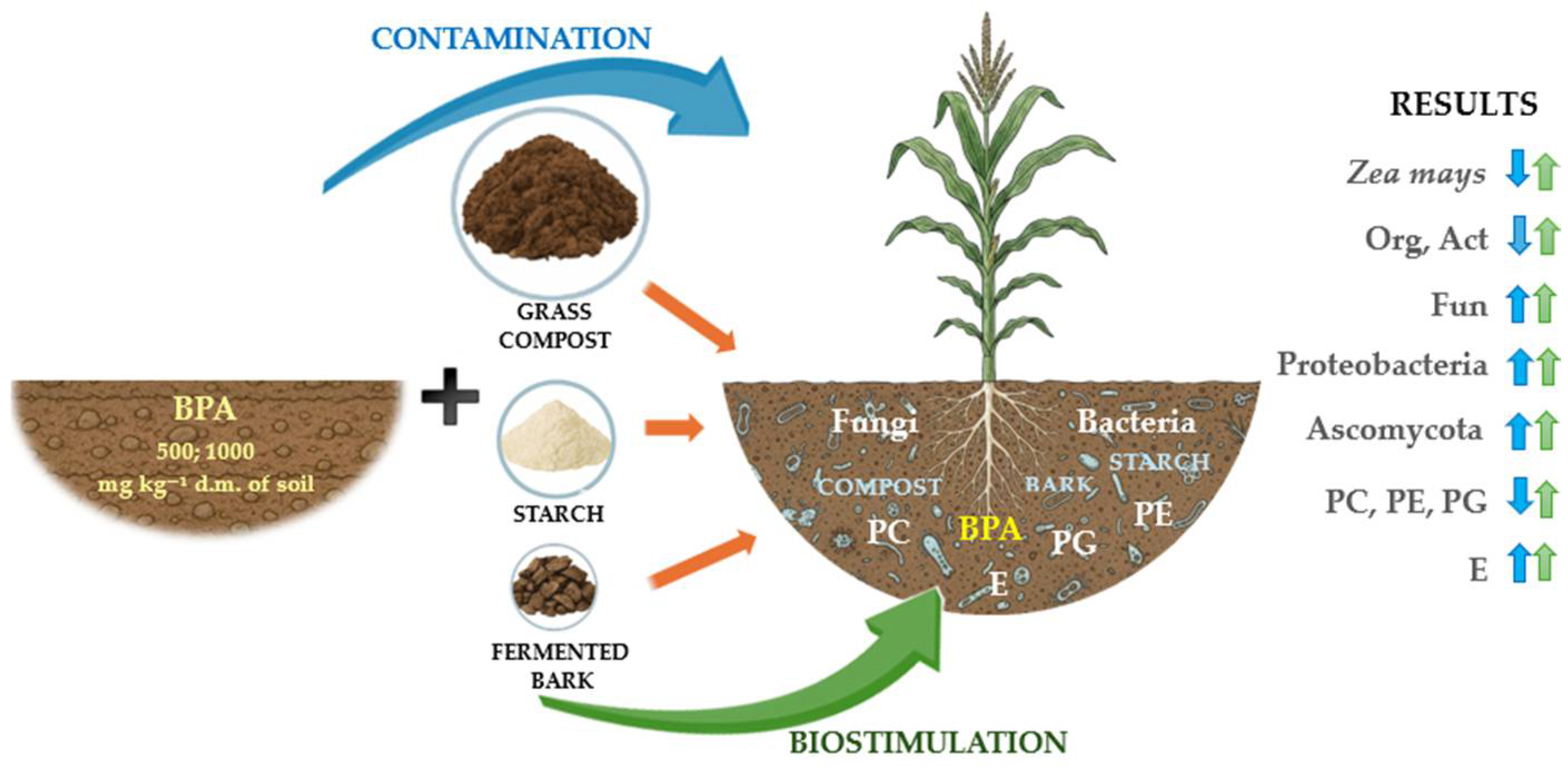 Molecules 30 03868 g010