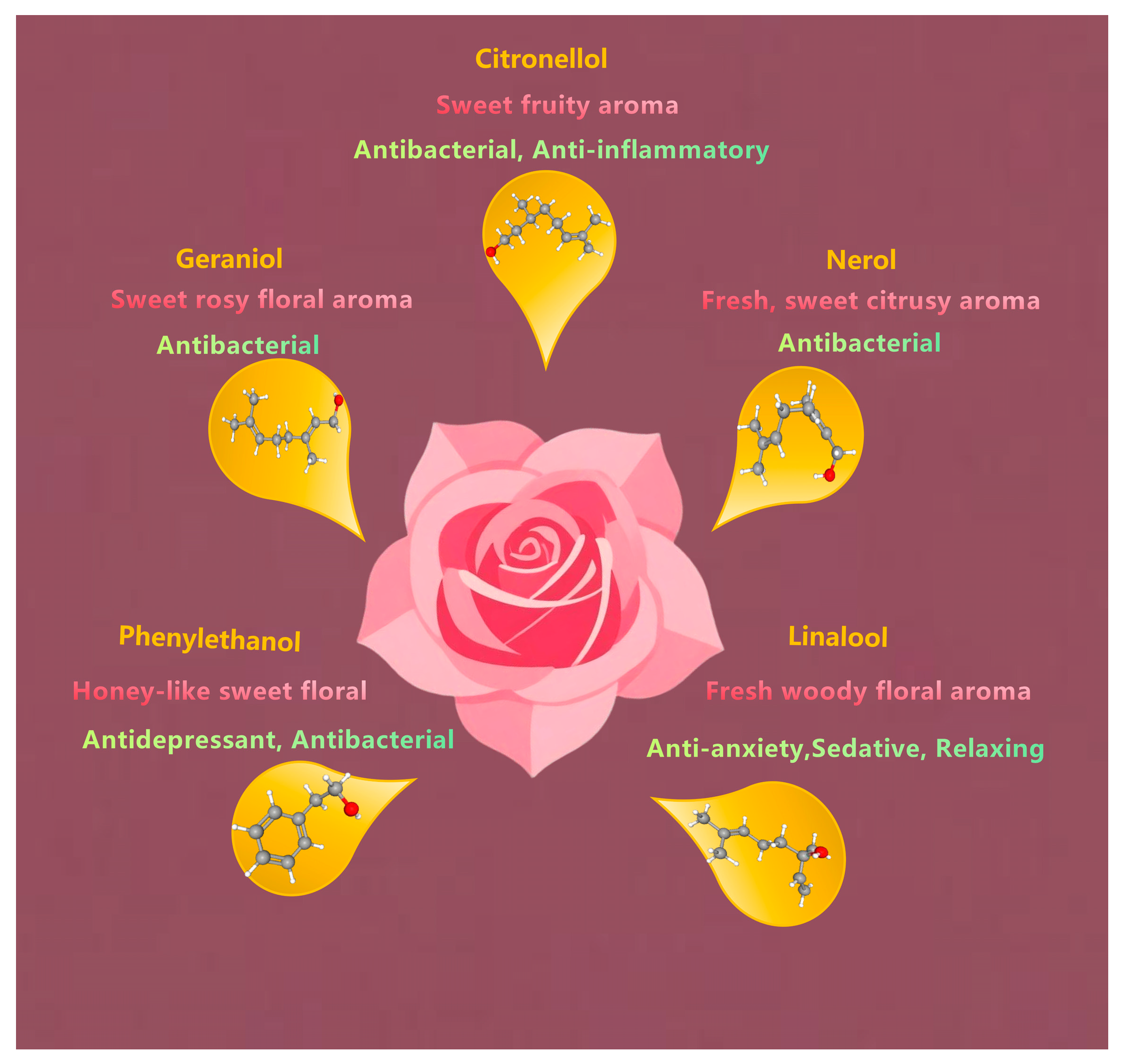 Molecules 30 03869 g001