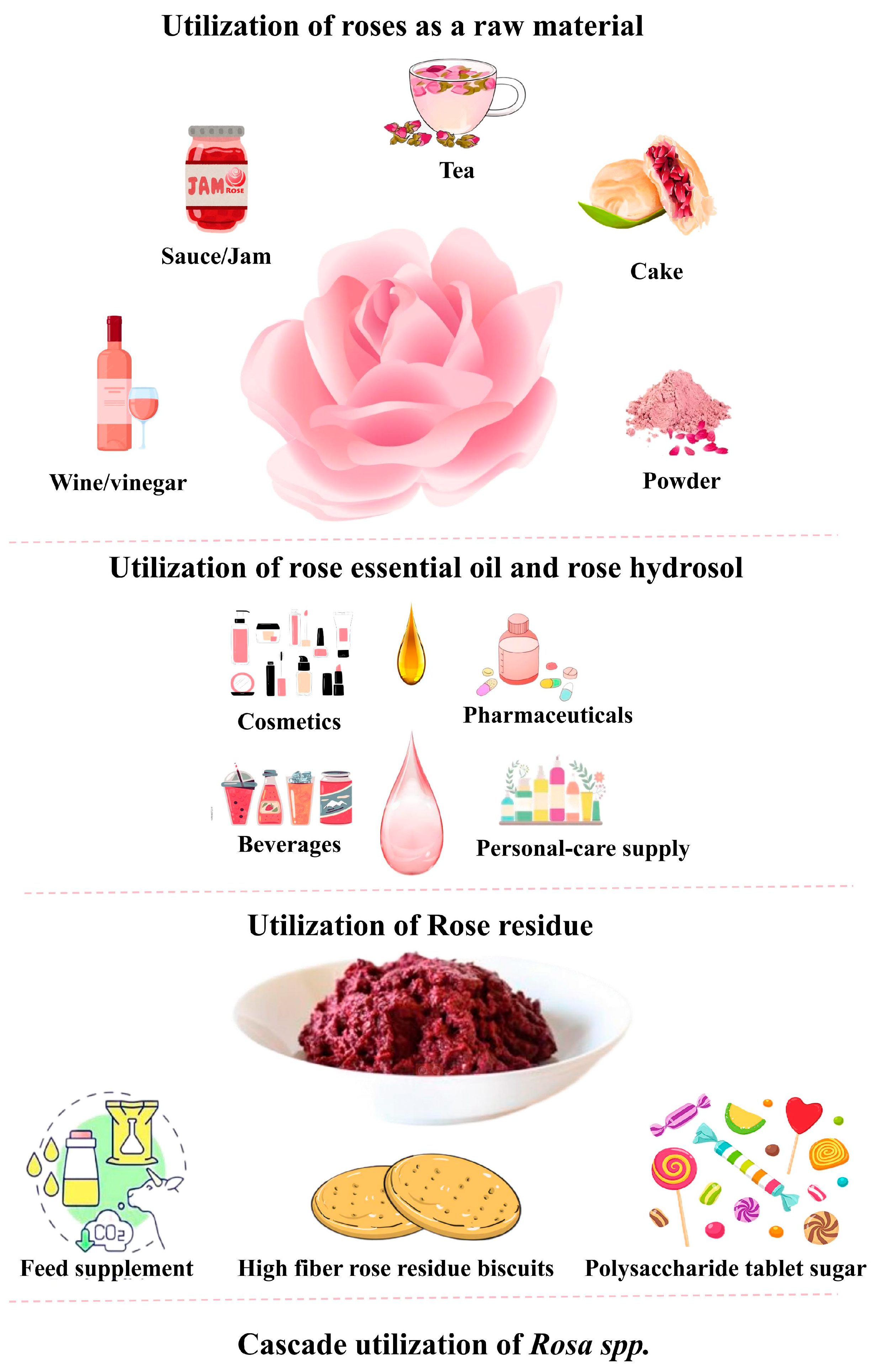 Molecules 30 03869 g002
