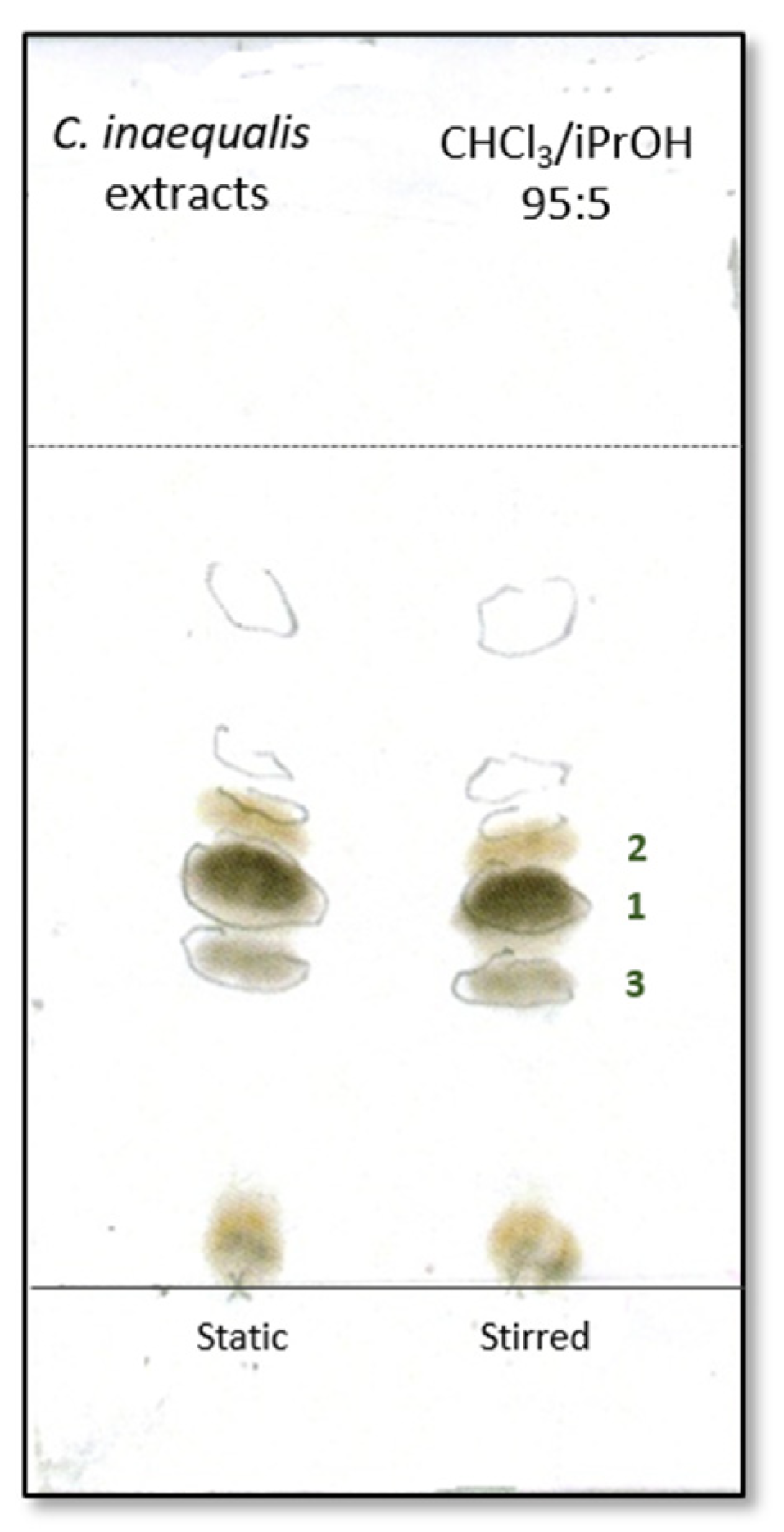 Molecules 30 03870 g001 Molecules 30 03870 g001