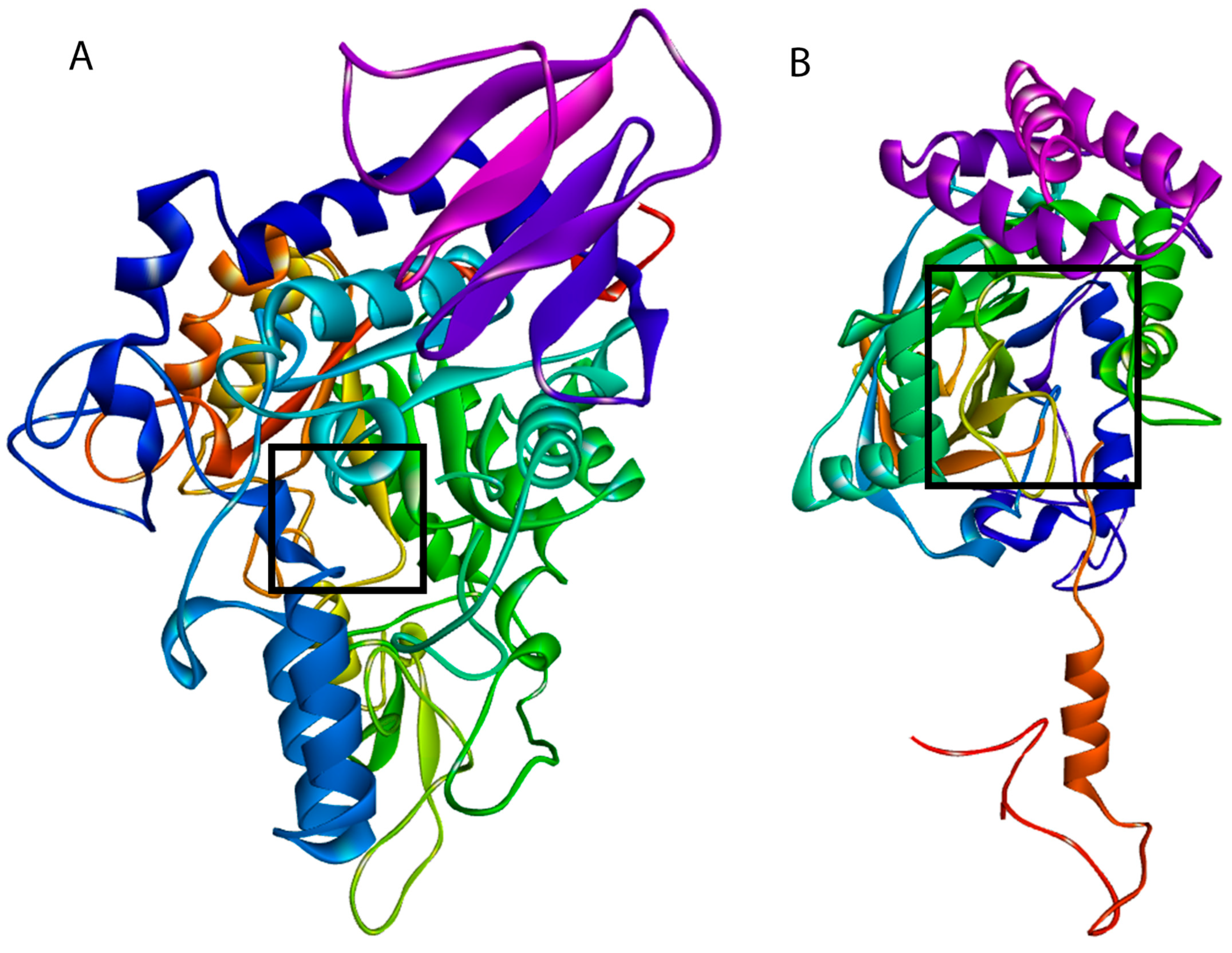 Molecules 30 03885 g008