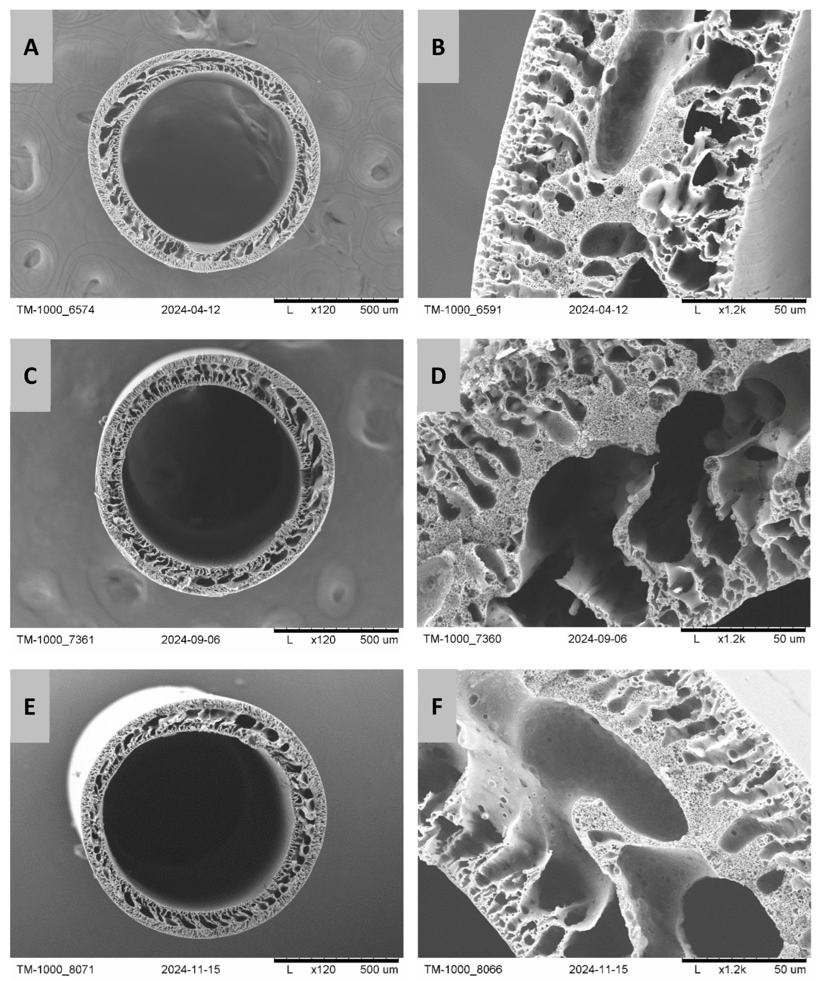 Molecules 30 03887 g002 Molecules 30 03887 g002
