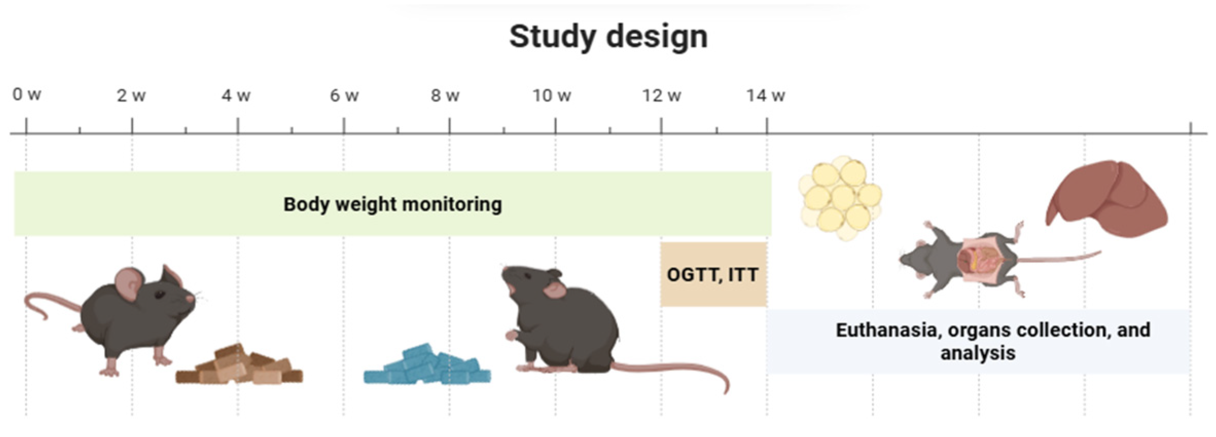 Molecules 30 03895 g008