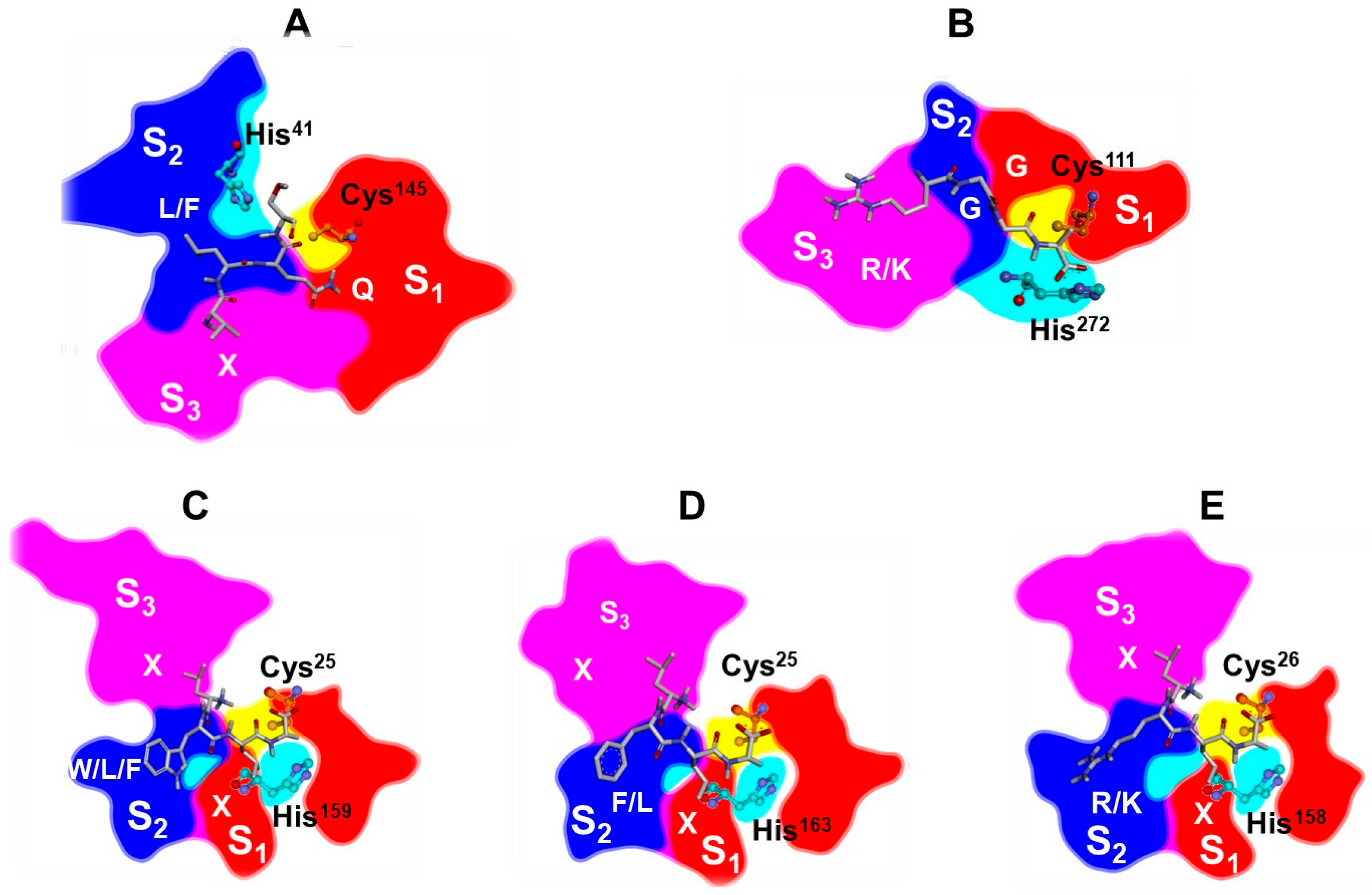 Molecules 30 03896 g011 Molecules 30 03896 g011