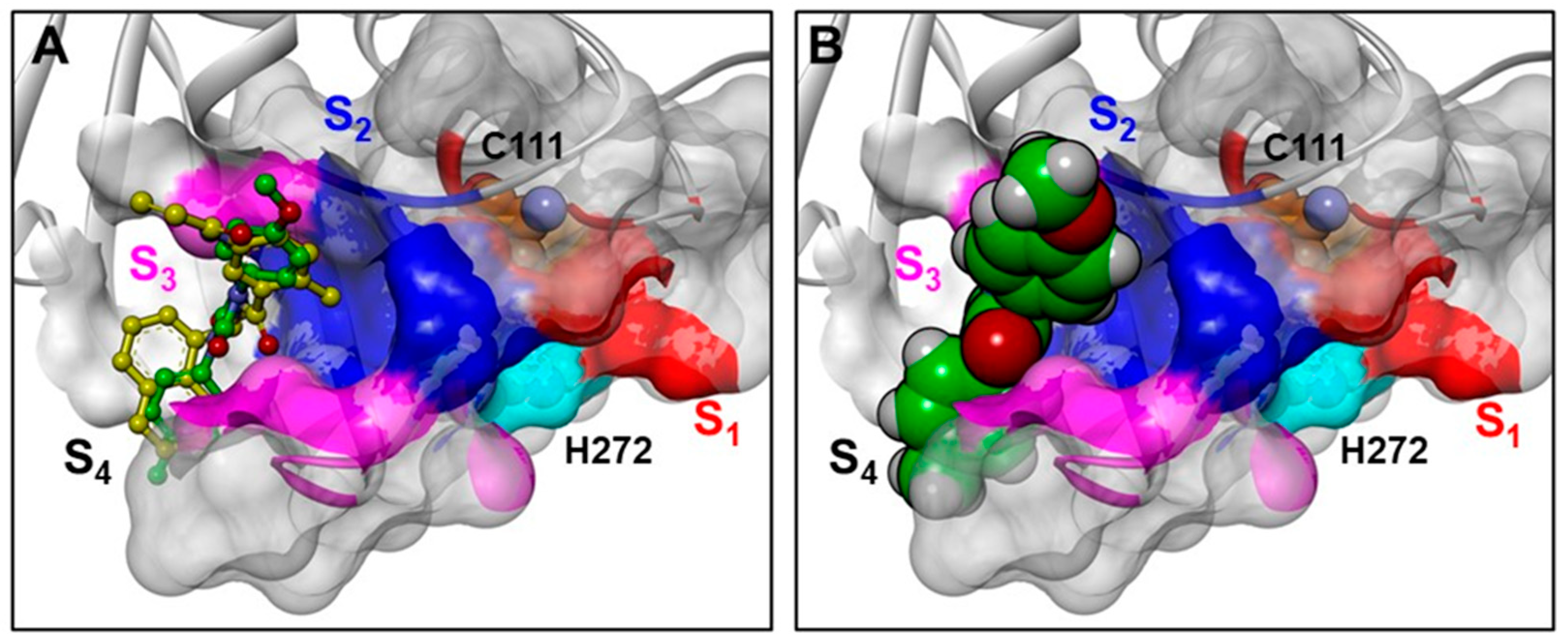Molecules 30 03896 g013 Molecules 30 03896 g013