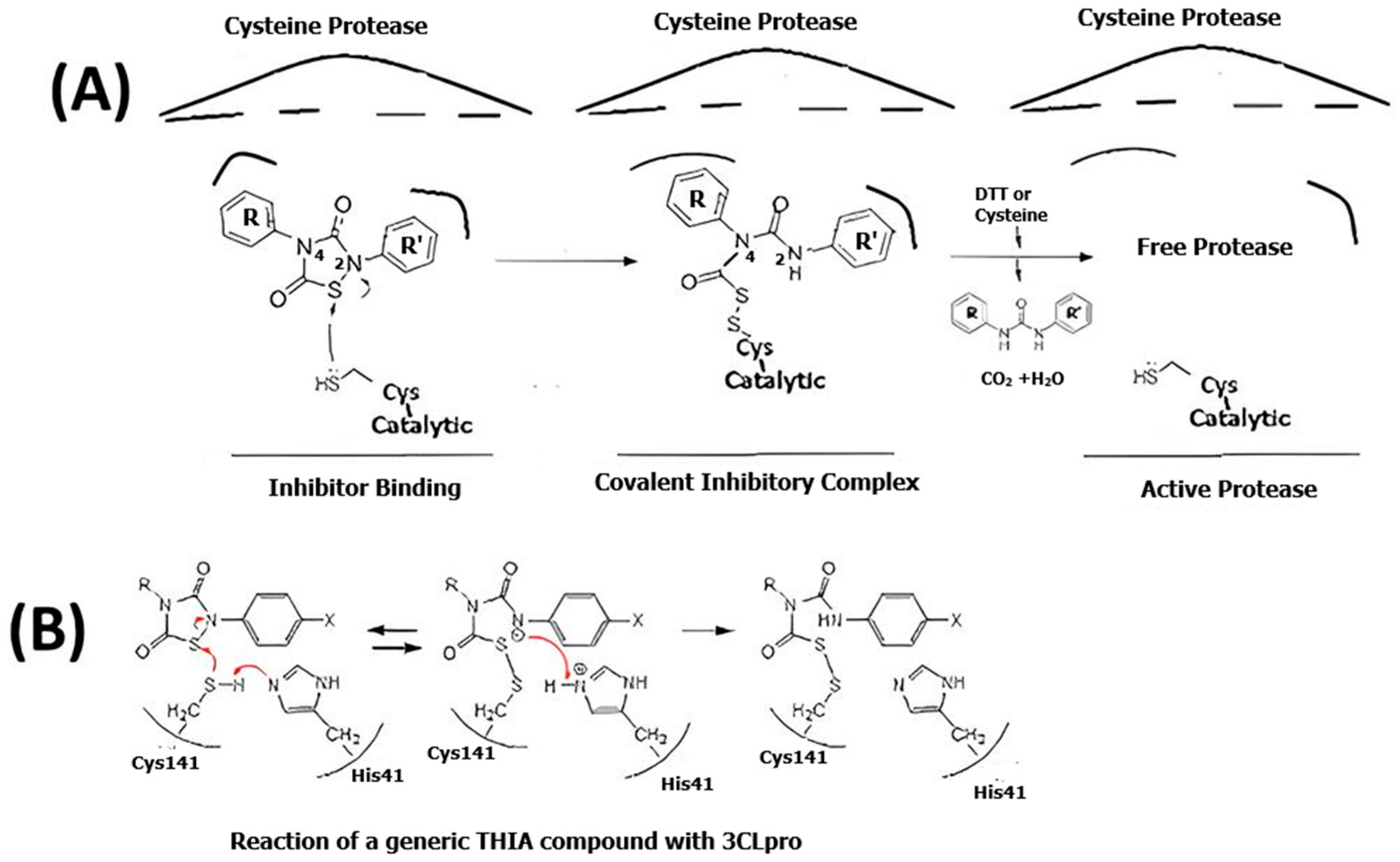 Molecules 30 03896 sch001 Molecules 30 03896 sch001