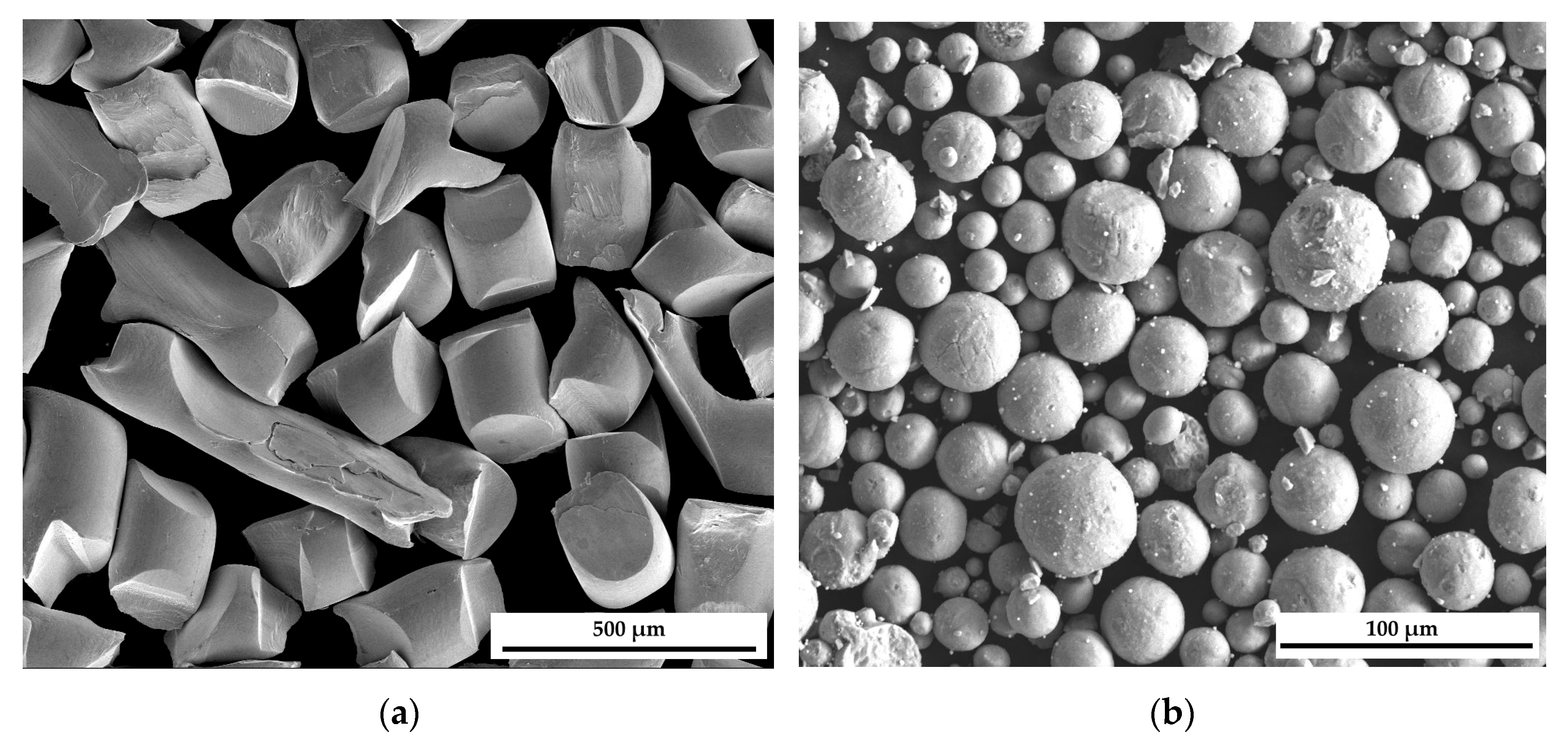 Molecules 30 03898 g007