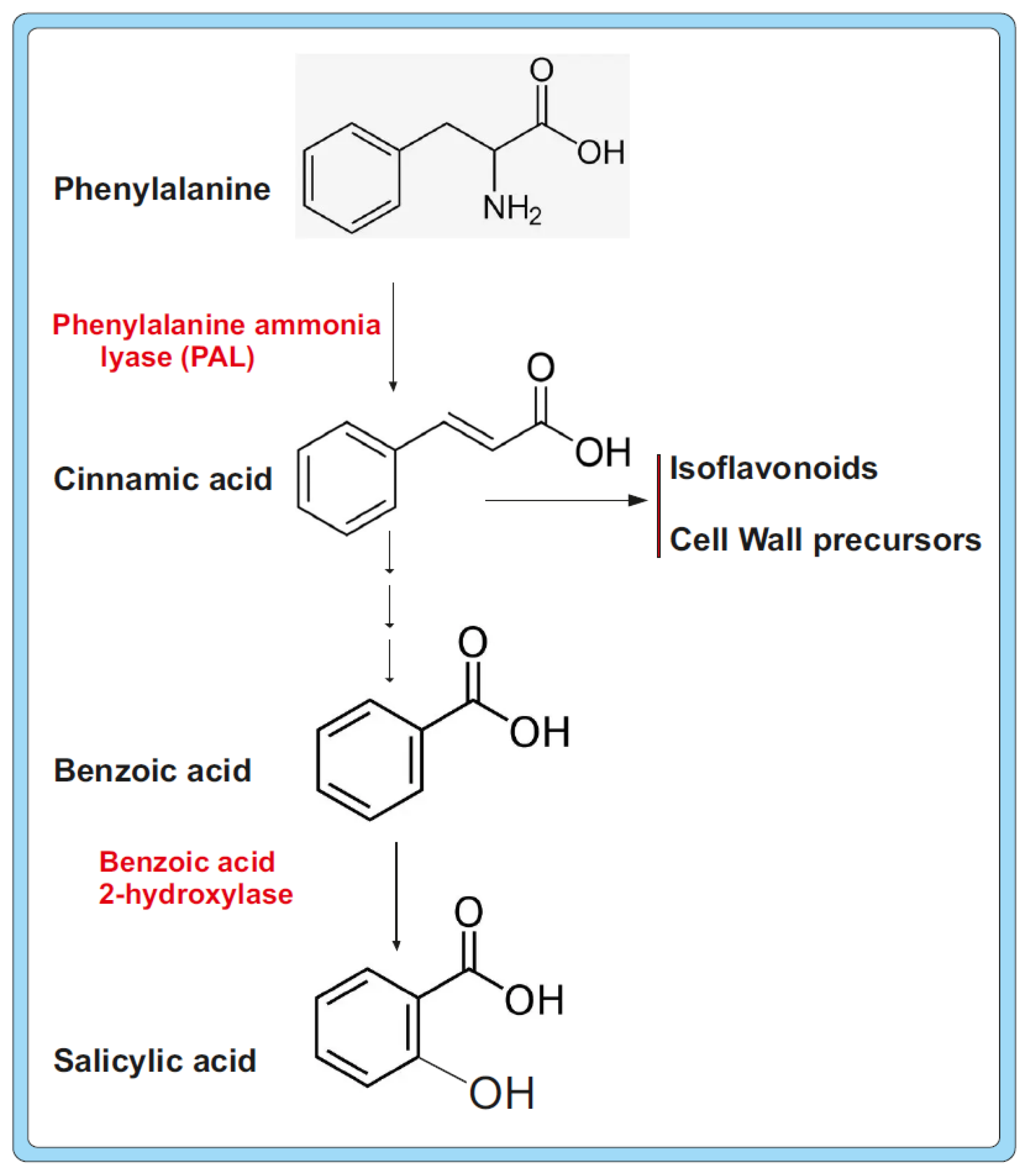 Molecules 30 03903 g002 Molecules 30 03903 g002