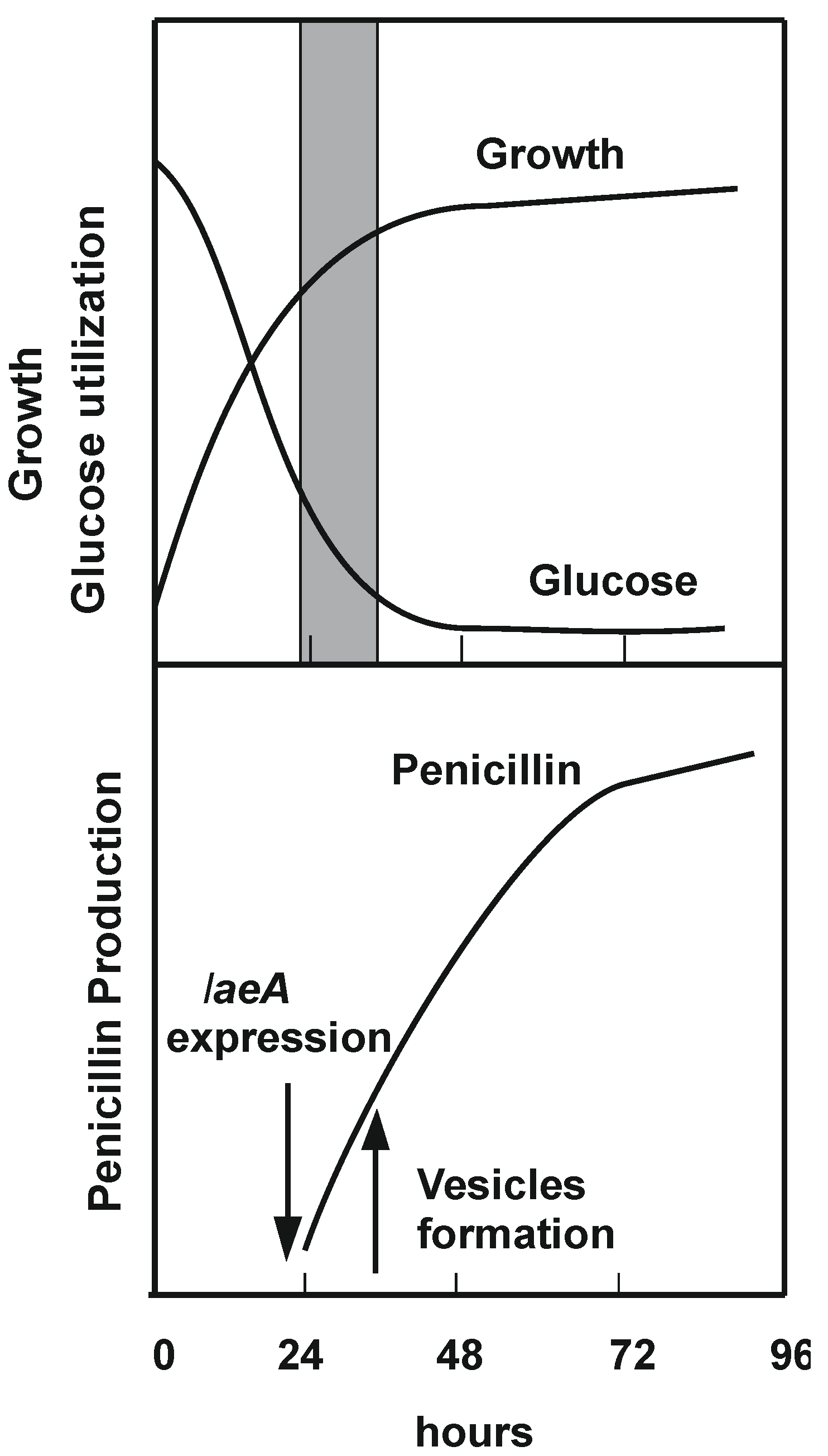 Molecules 30 03903 g003 Molecules 30 03903 g003