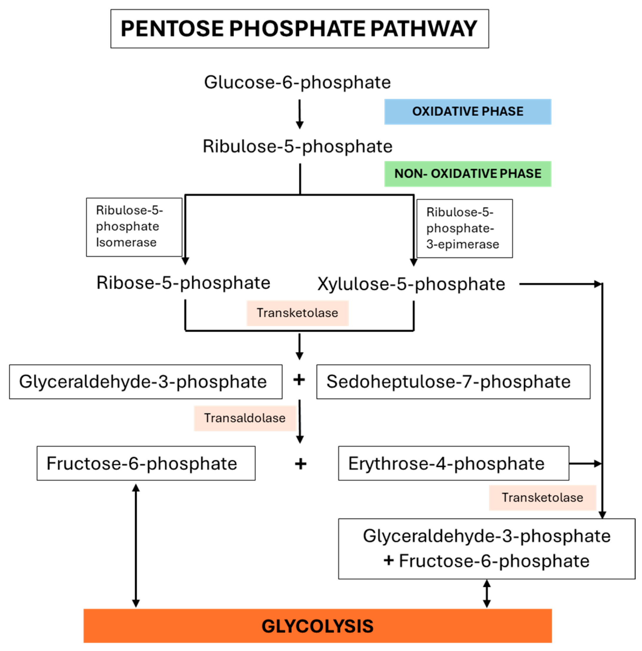 Molecules 30 03905 g001
