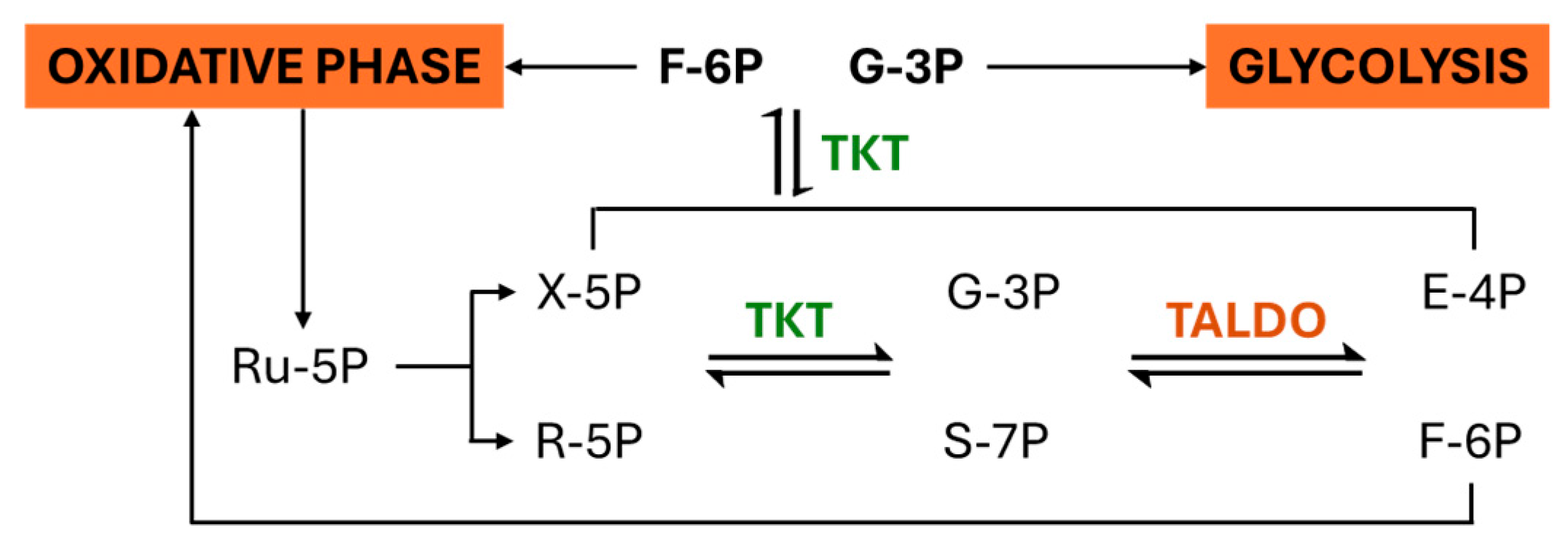 Molecules 30 03905 g002