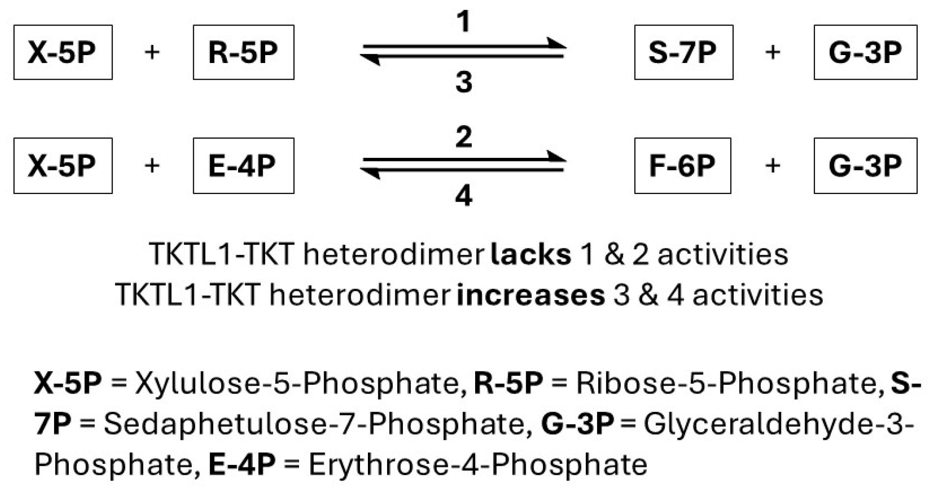 Molecules 30 03905 g003