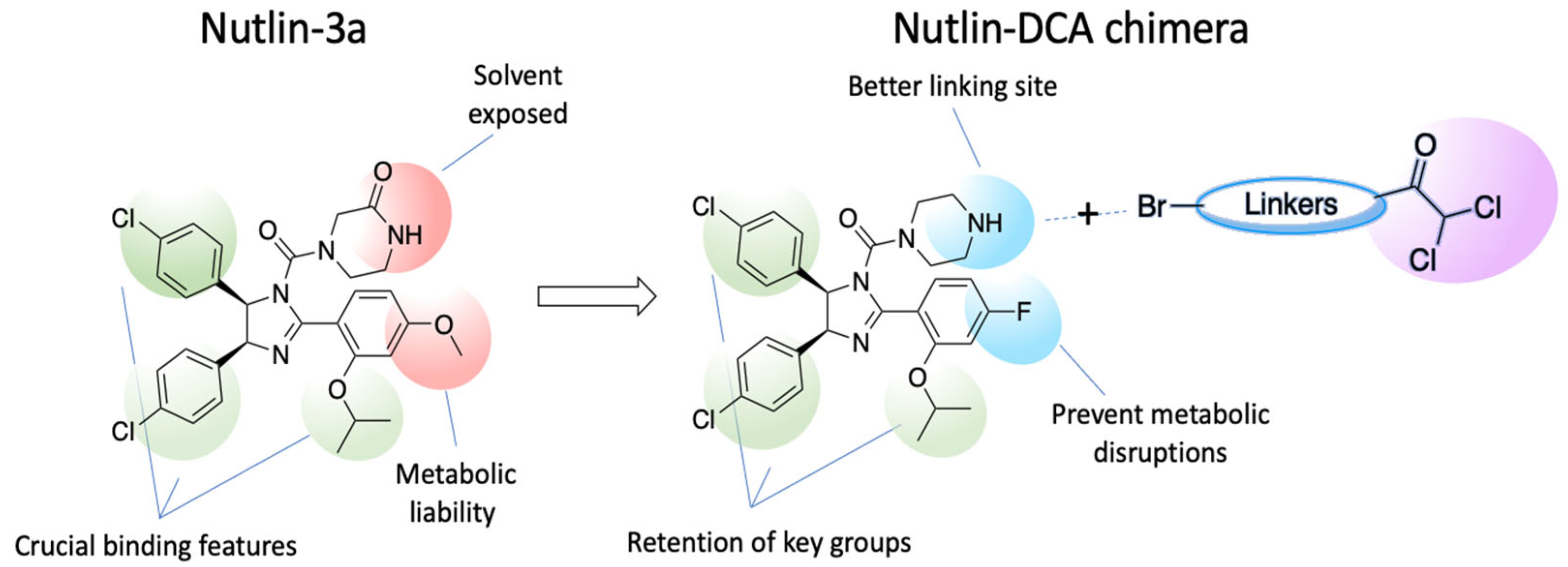 Molecules 30 03908 g001
