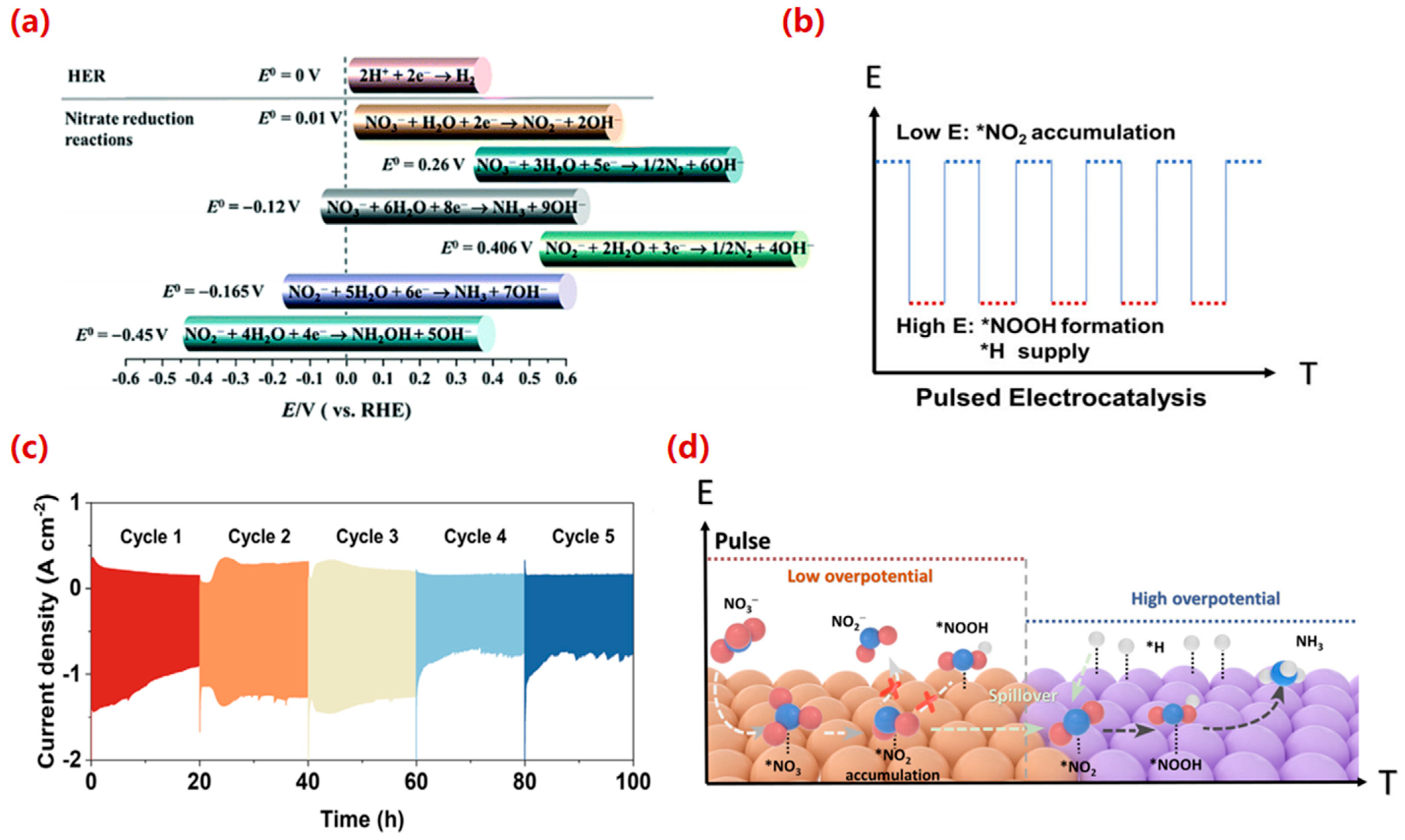 Molecules 30 03910 g004
