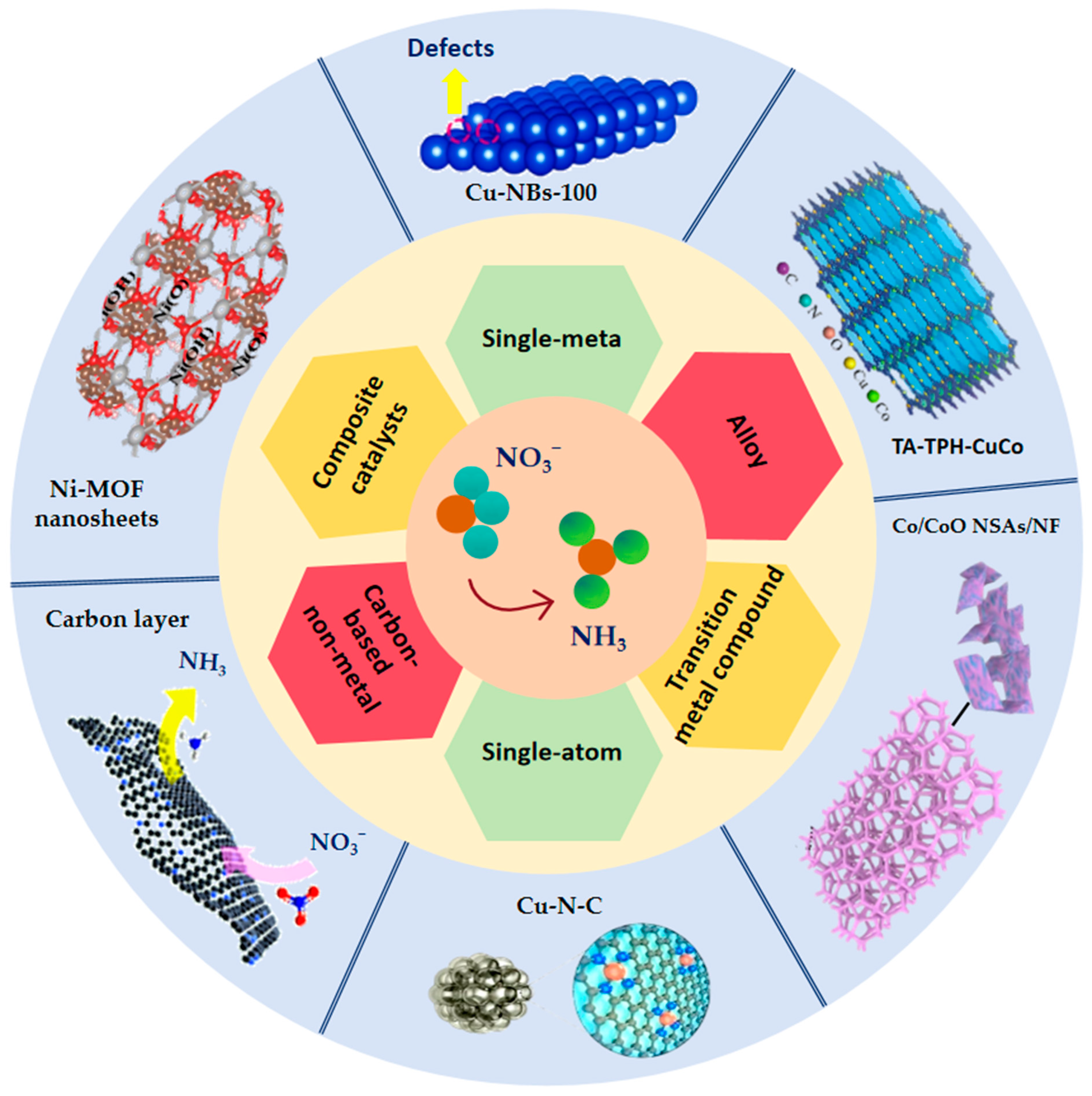 Molecules 30 03910 g005