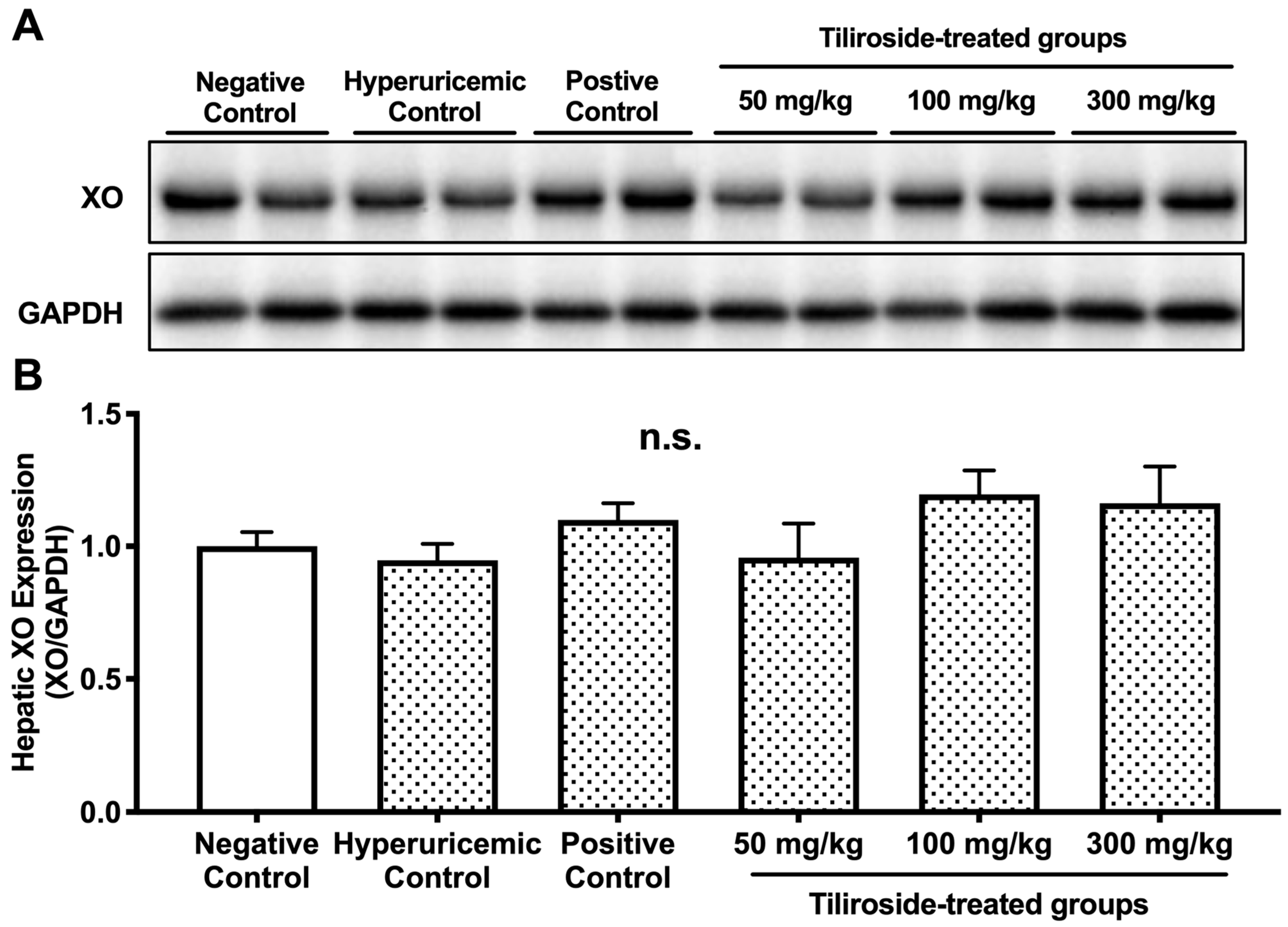 Molecules 30 03914 g004