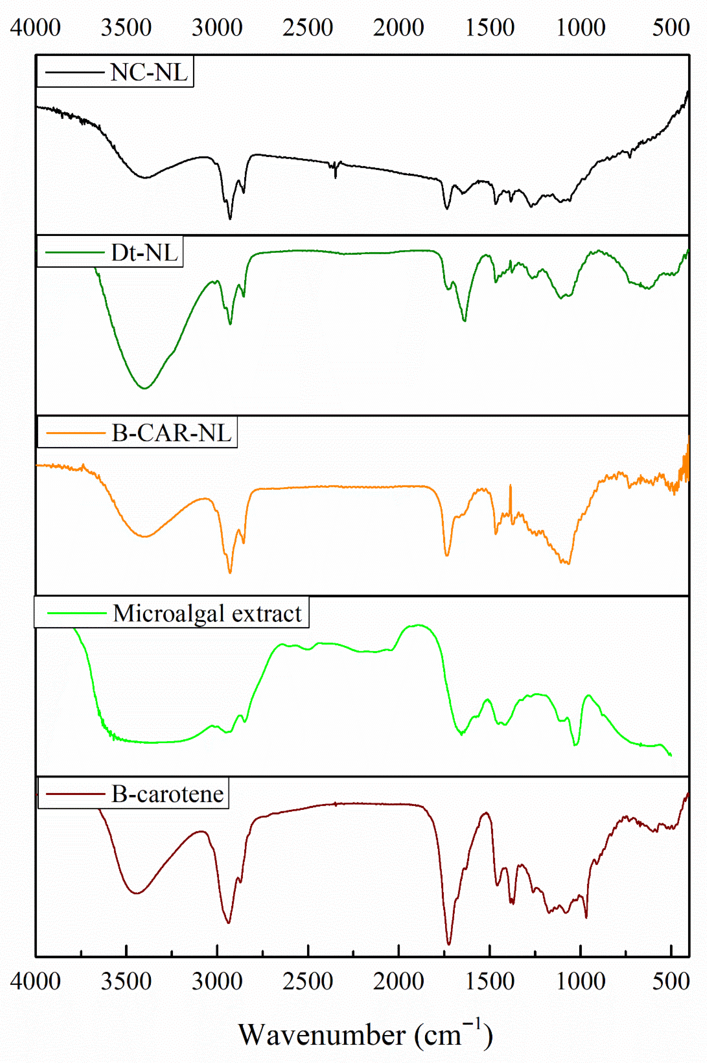 Molecules 30 03924 g013