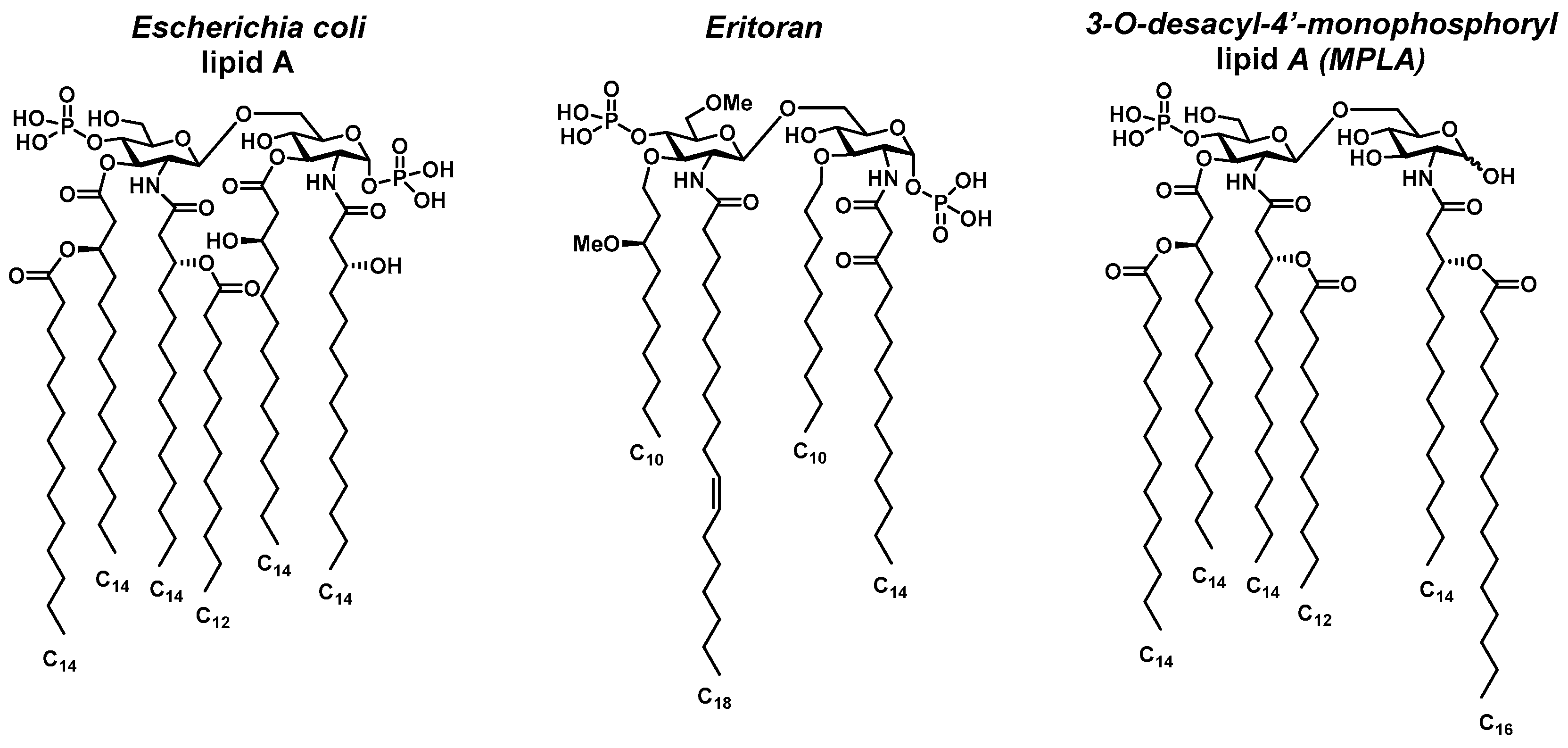 Molecules 30 03927 g001
