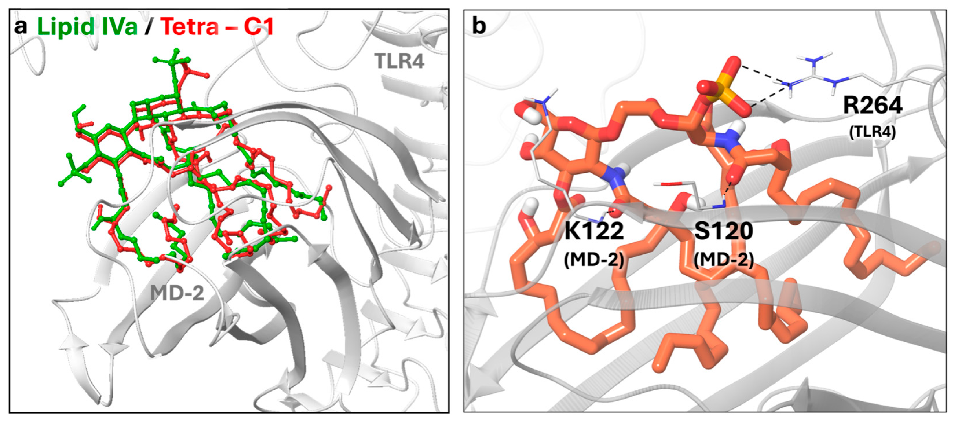 Molecules 30 03927 g005