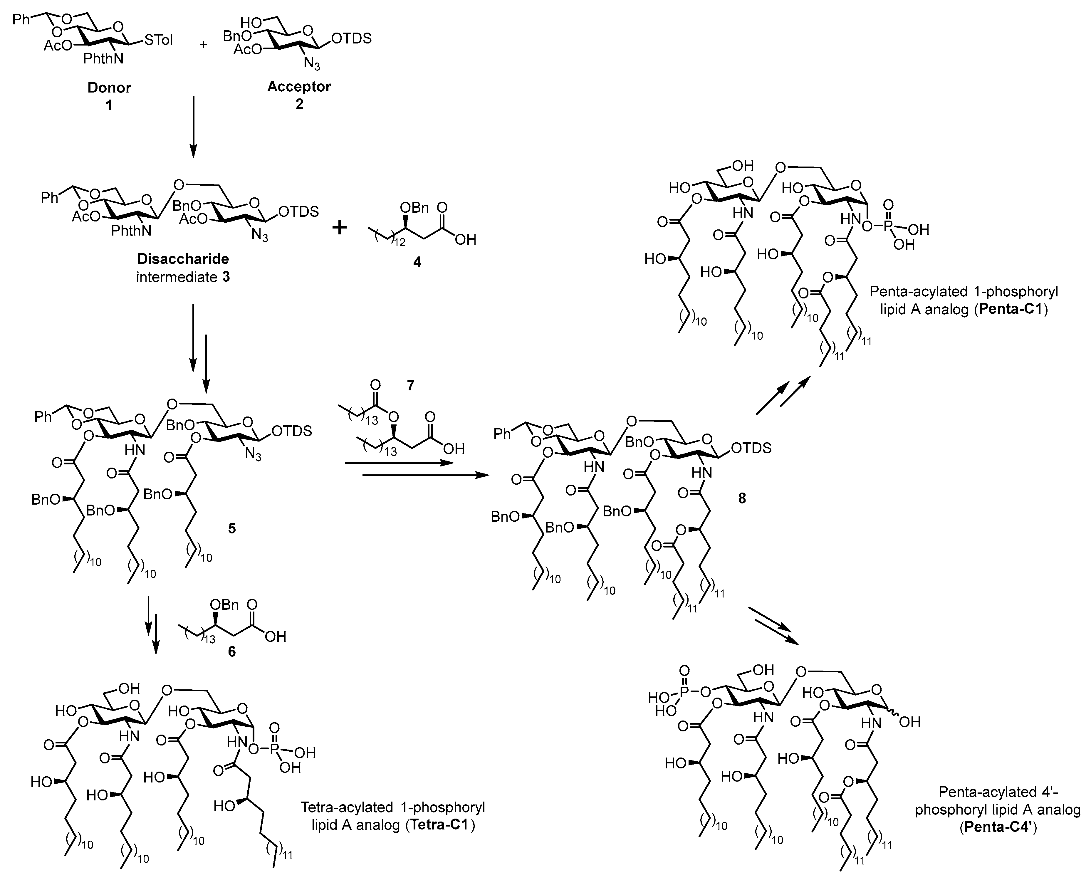 Molecules 30 03927 sch001