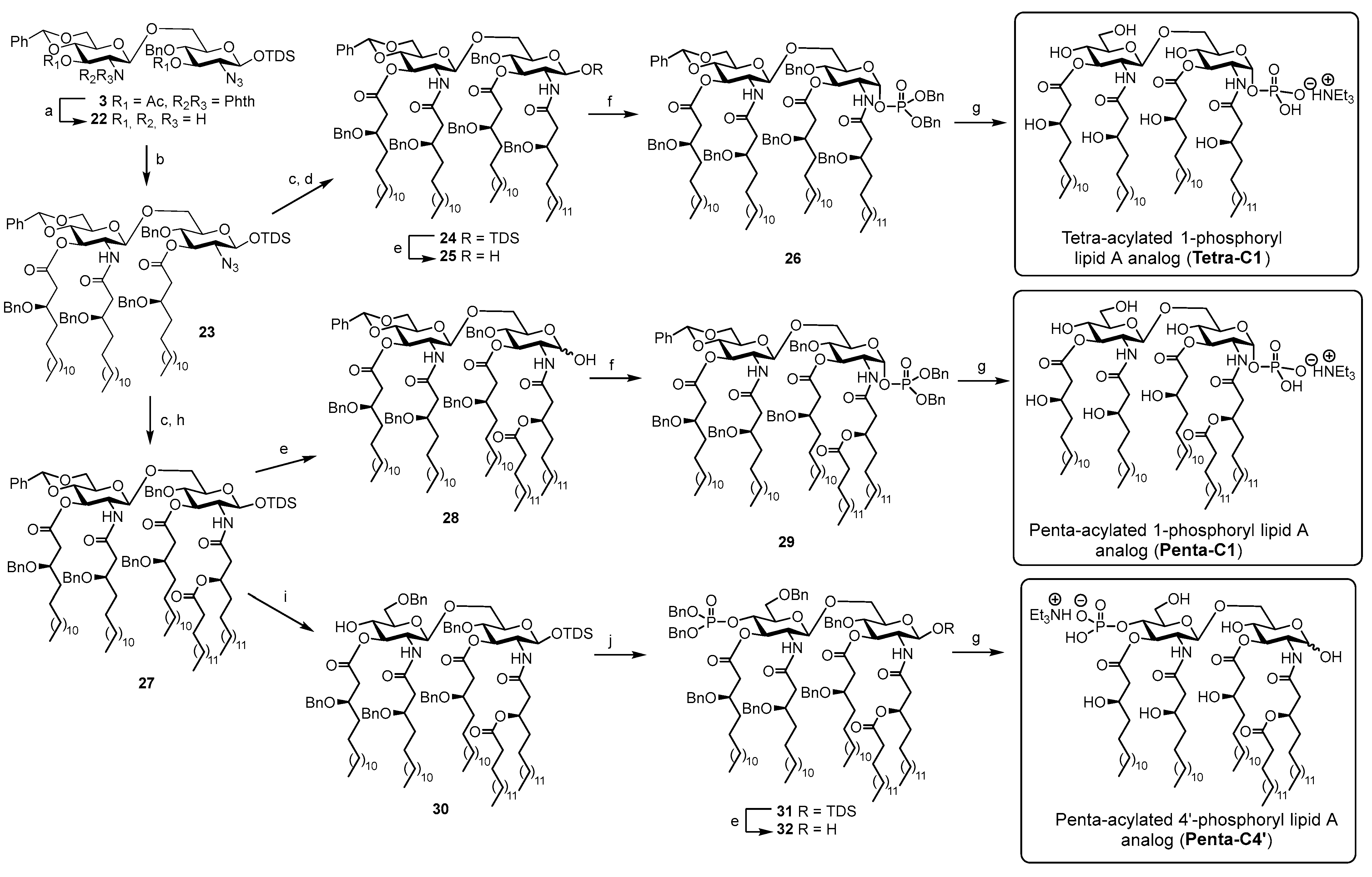 Molecules 30 03927 sch004