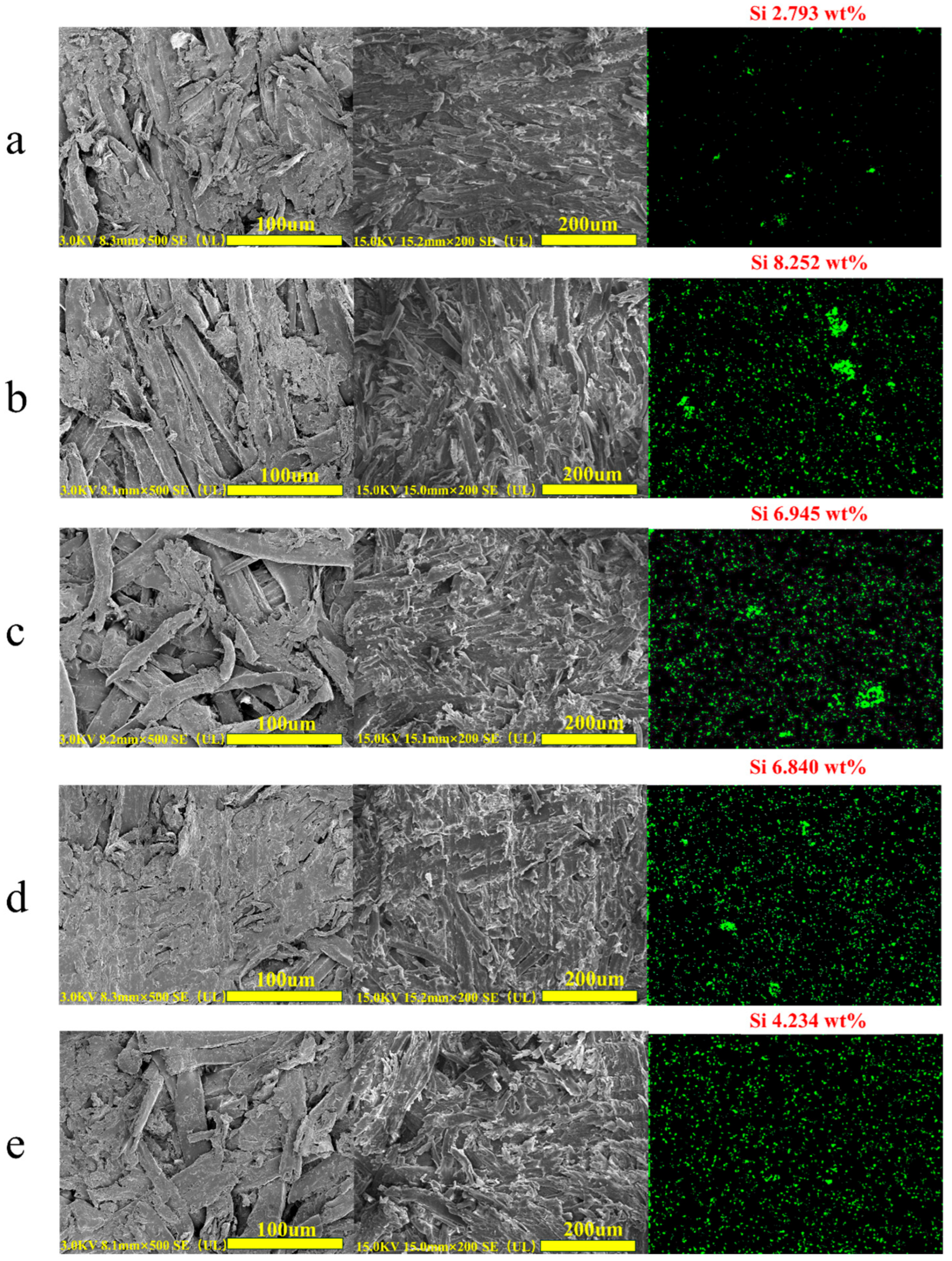 Molecules 30 03934 g013 Molecules 30 03934 g013
