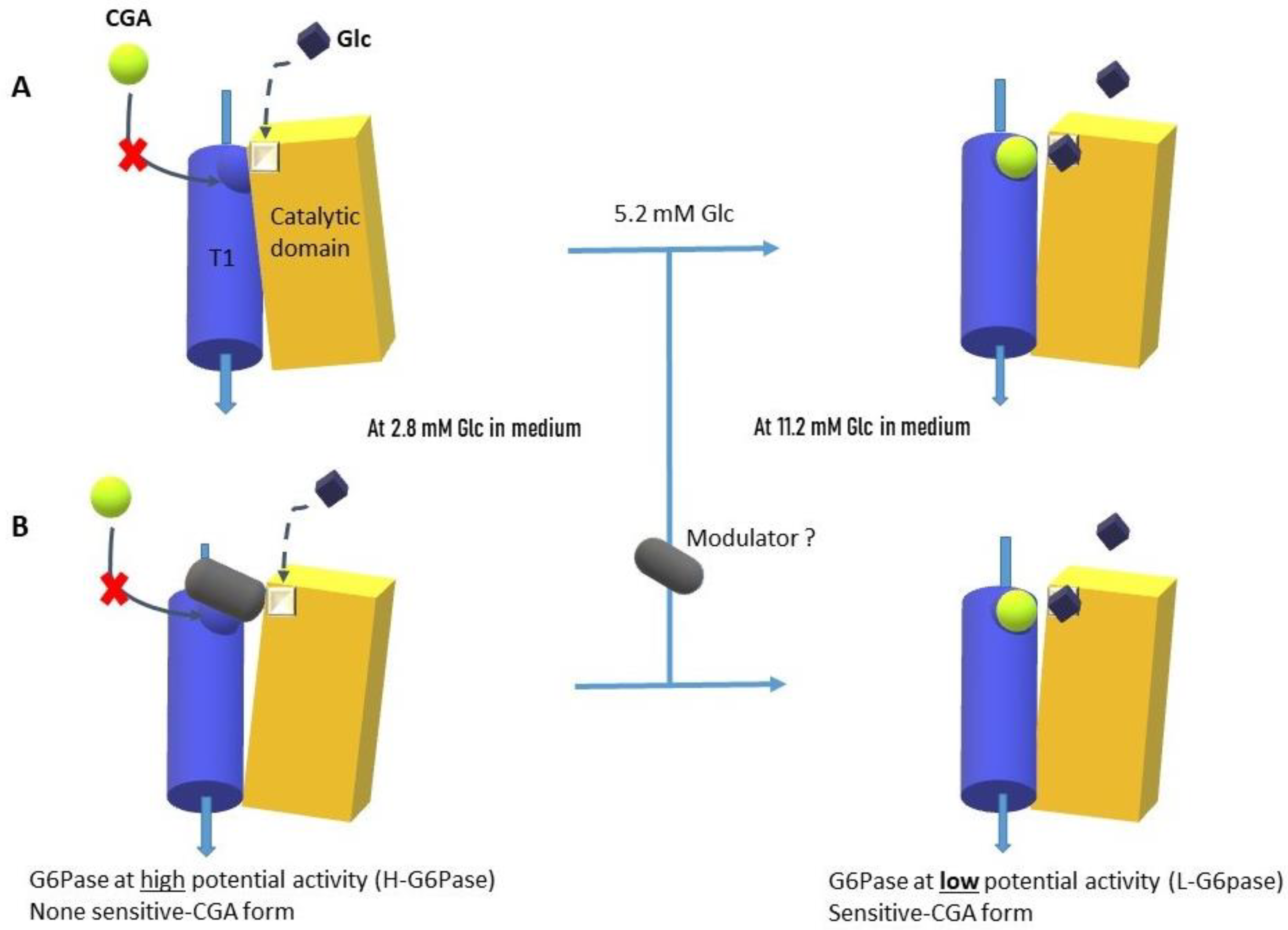 Molecules 30 03949 g006