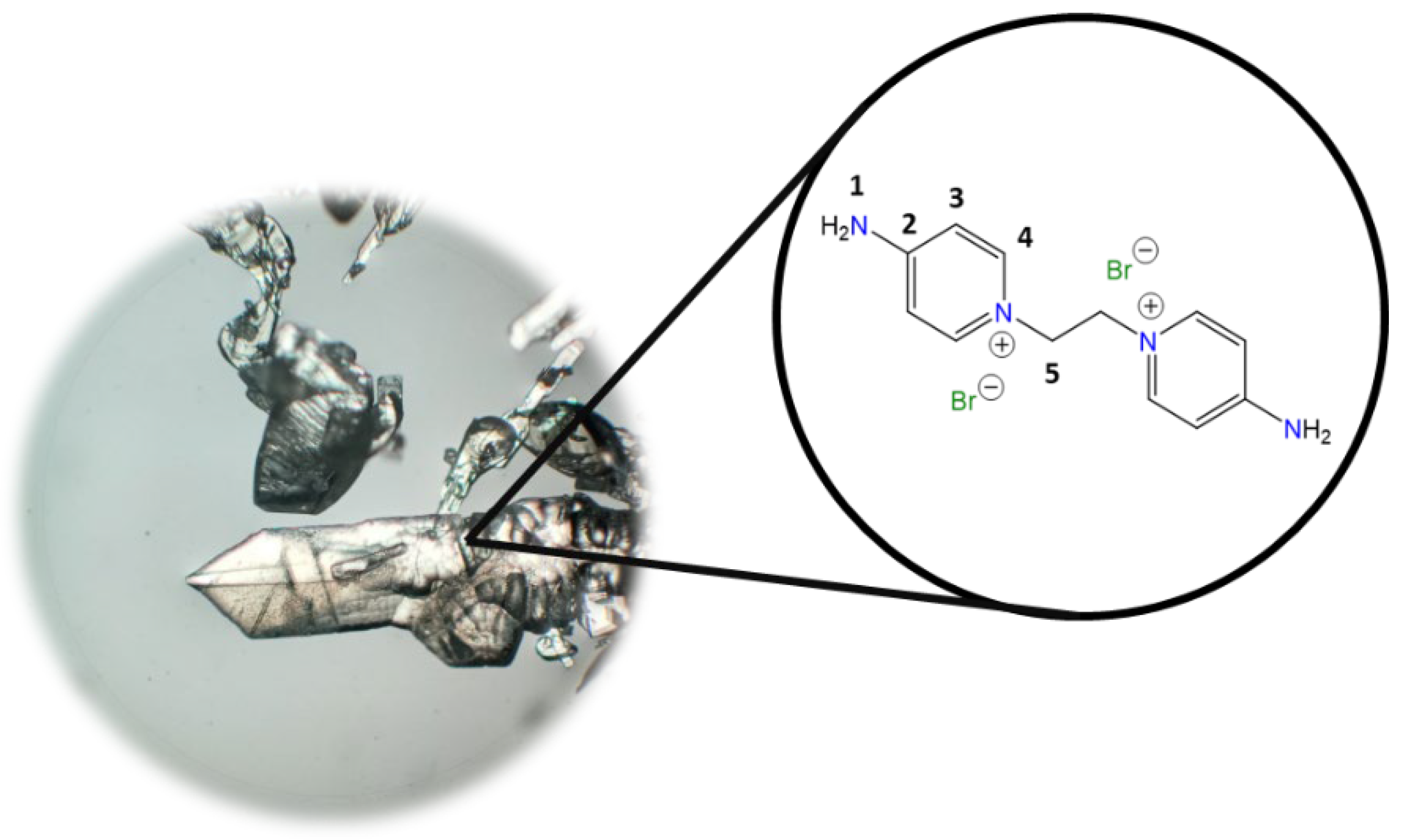 Molecules 30 03962 i001