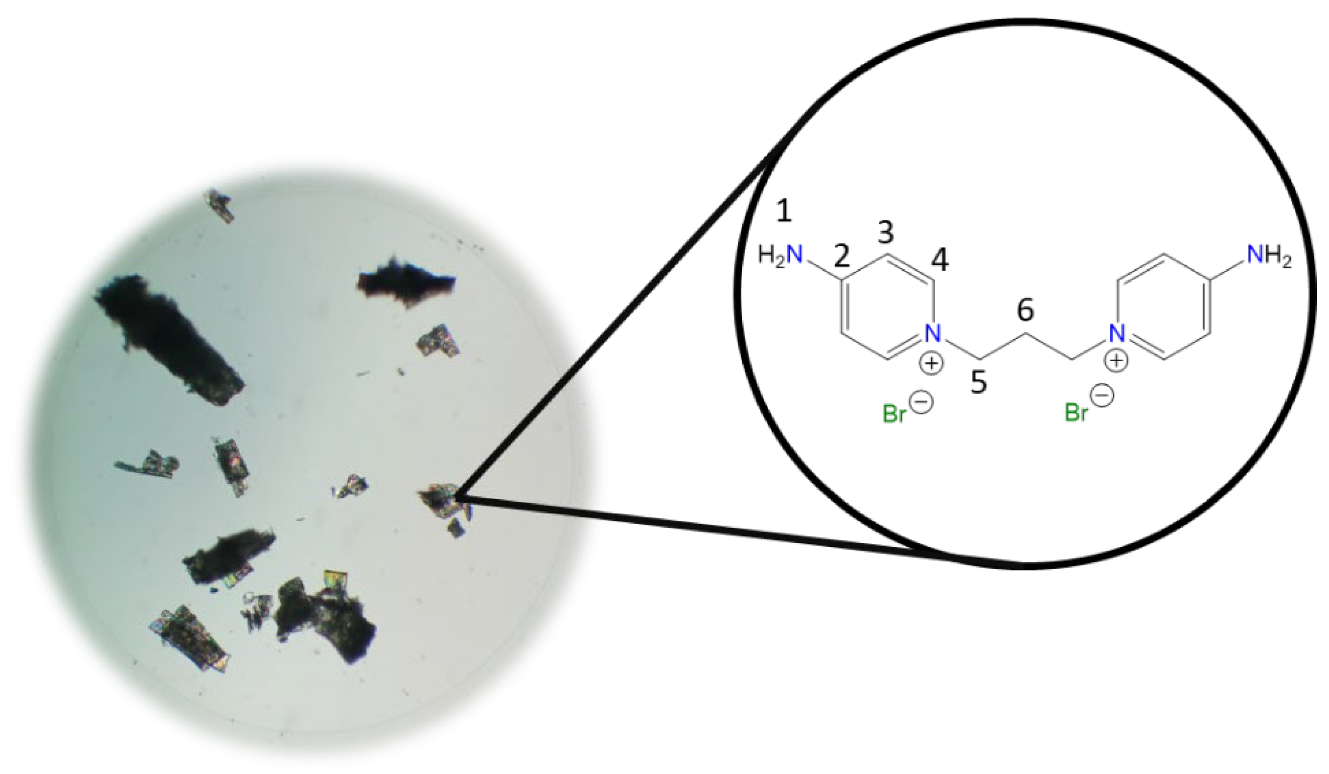Molecules 30 03962 i002