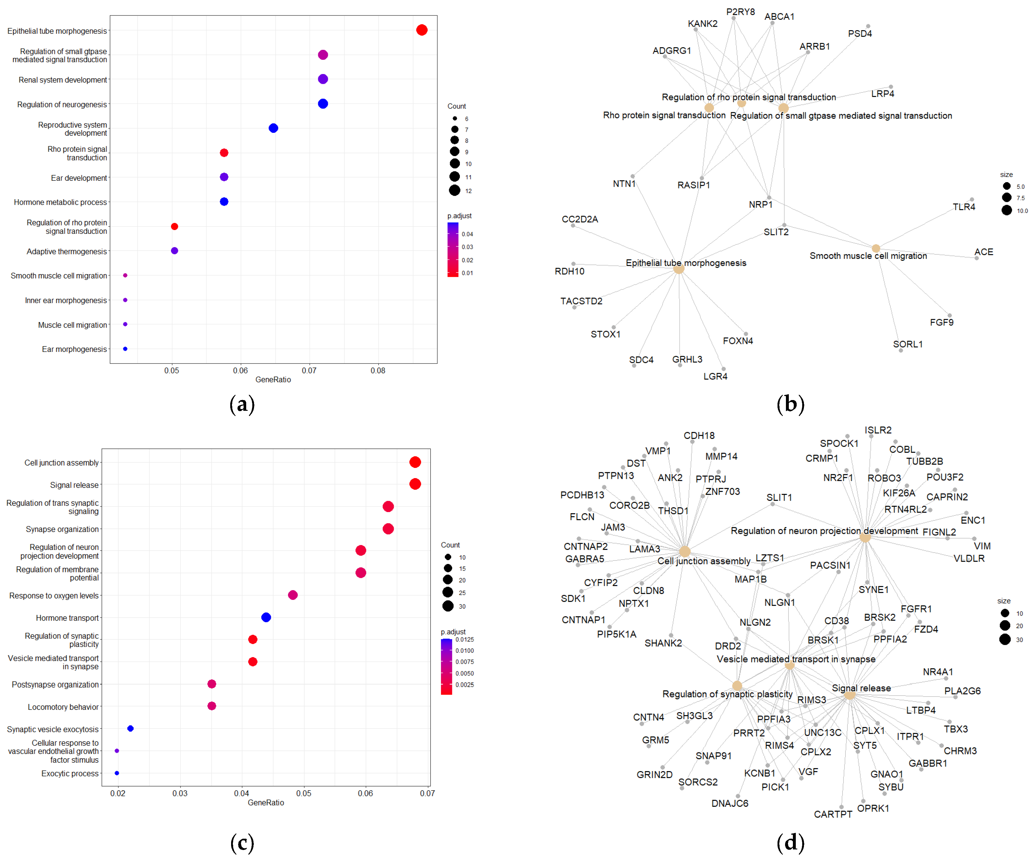 Molecules 30 03963 g008