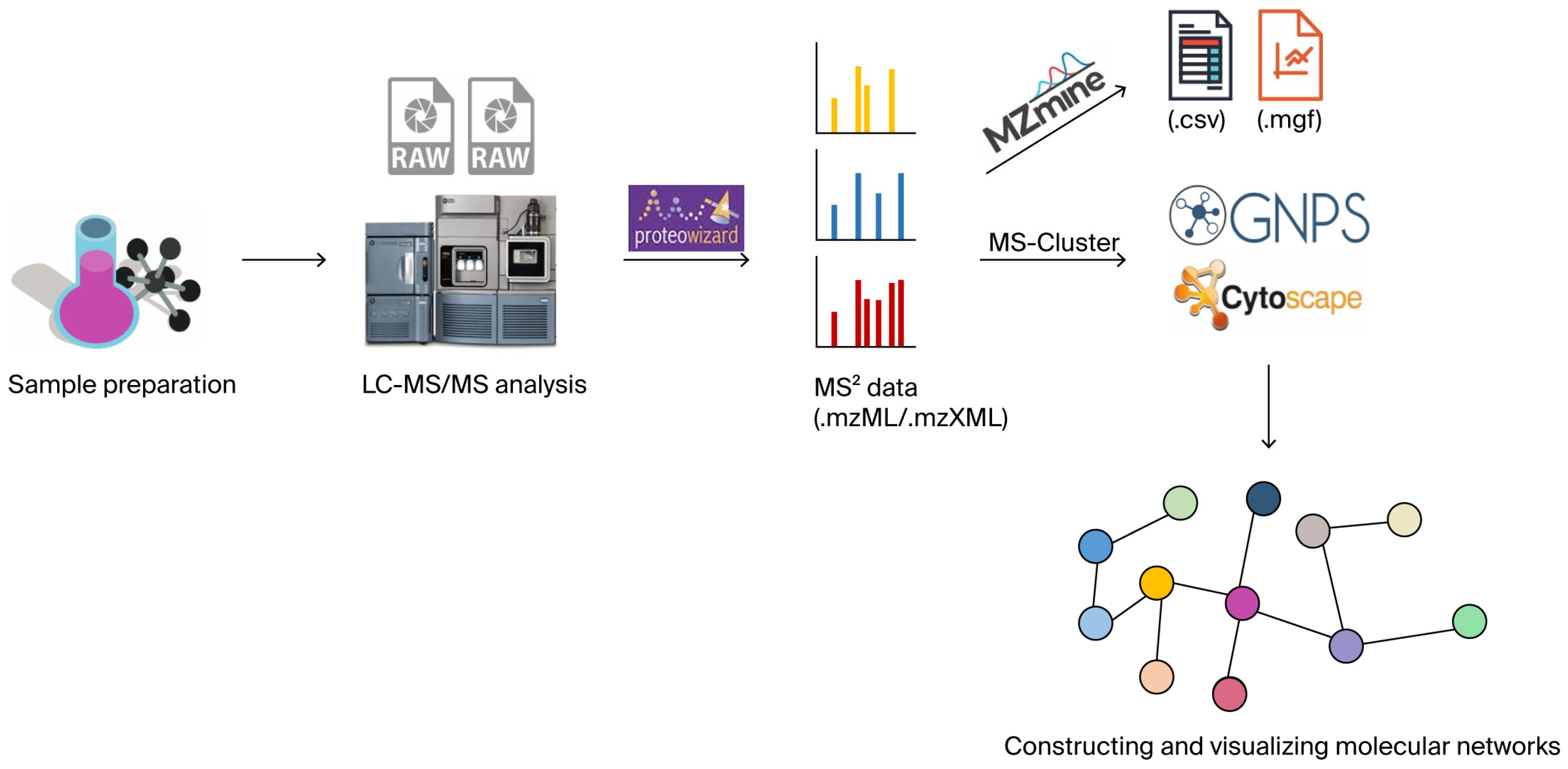 Molecules 30 03968 g001 Molecules 30 03968 g001