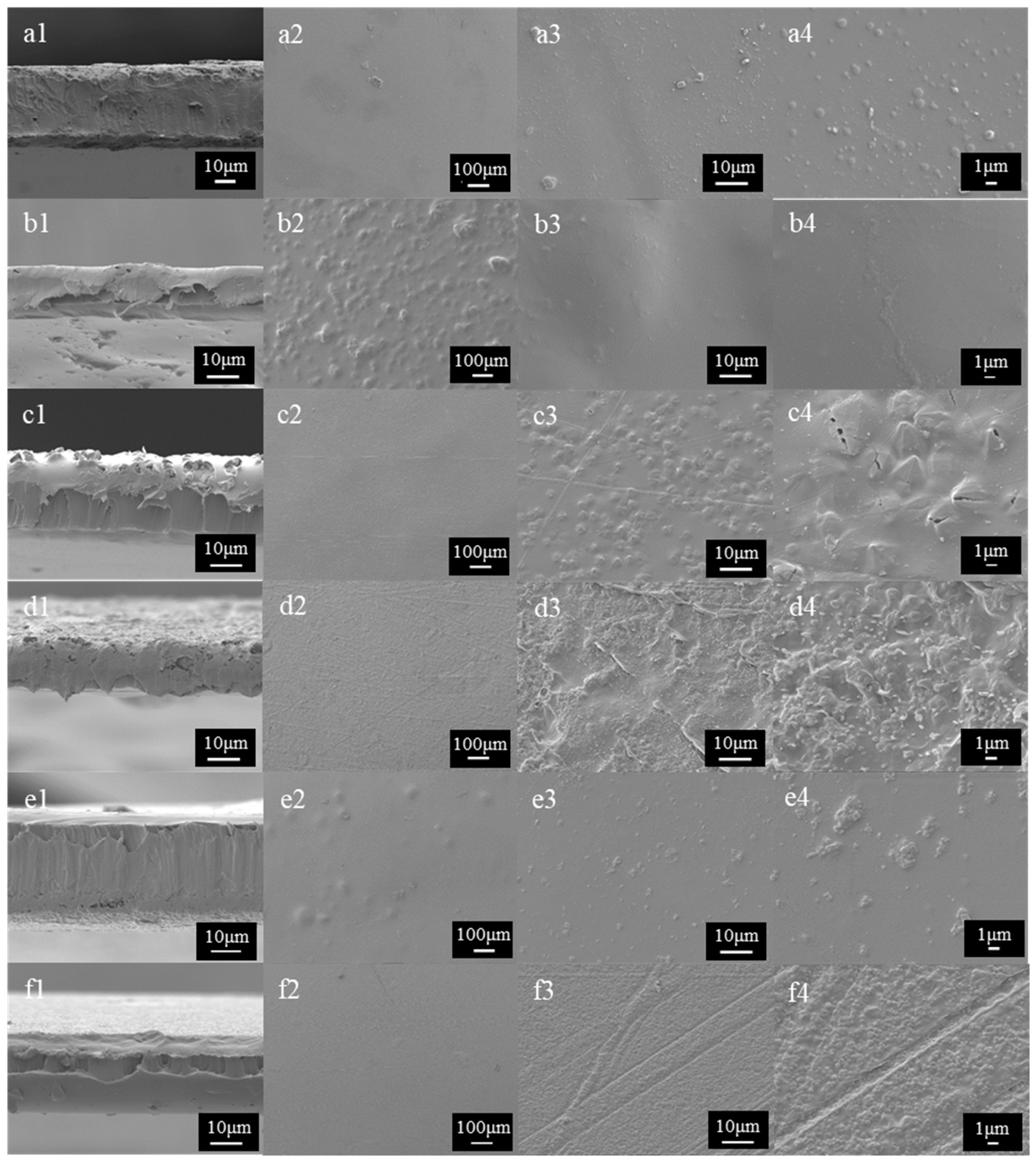 Molecules 30 03971 g004 Molecules 30 03971 g004