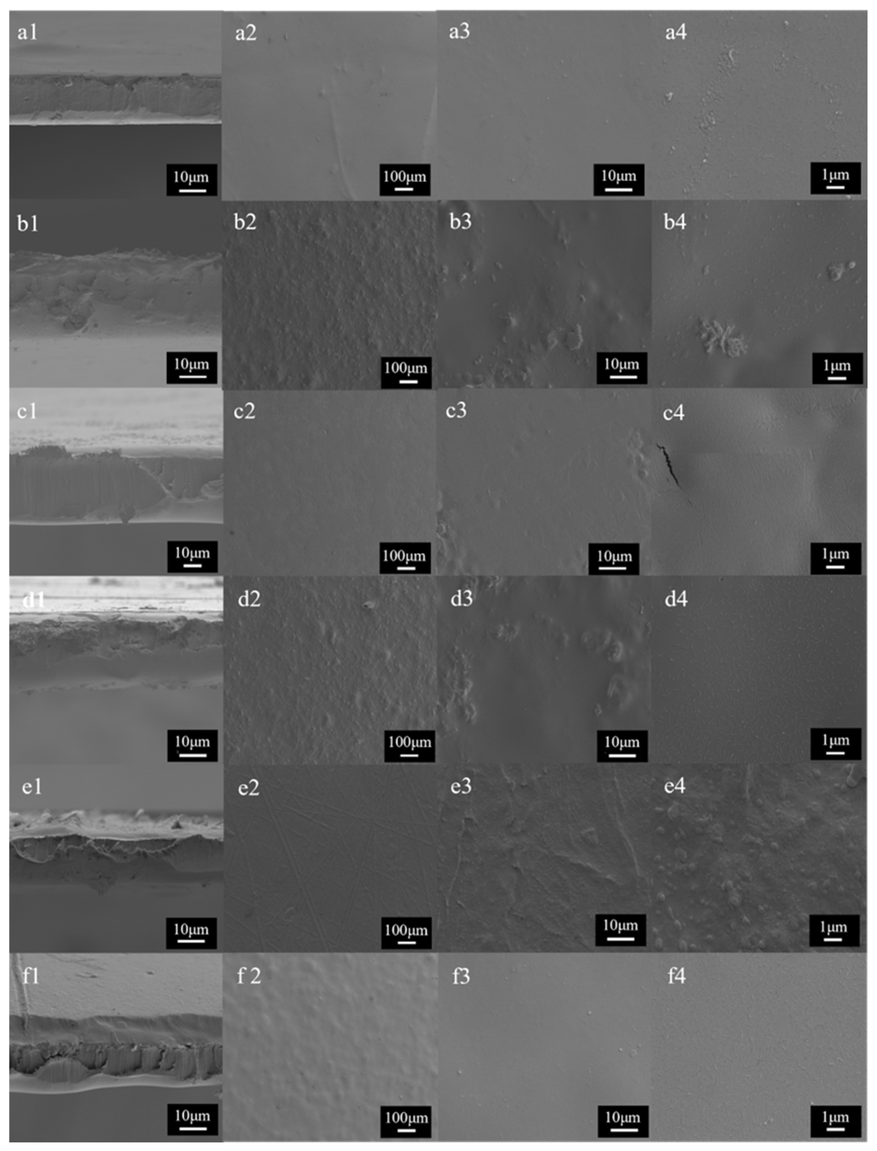 Molecules 30 03971 g007 Molecules 30 03971 g007