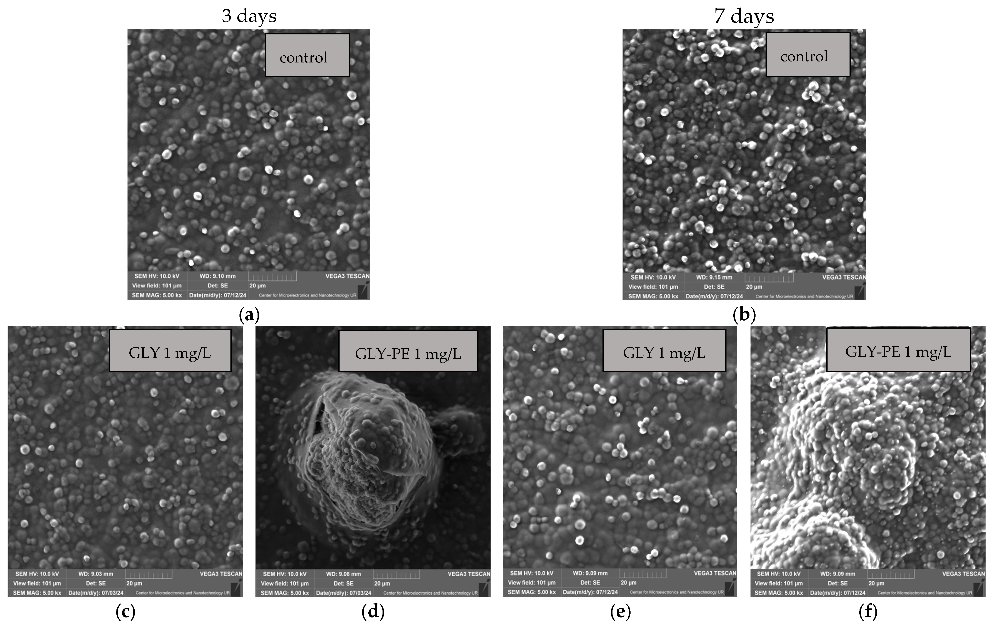 Molecules 30 03972 g003a Molecules 30 03972 g003a