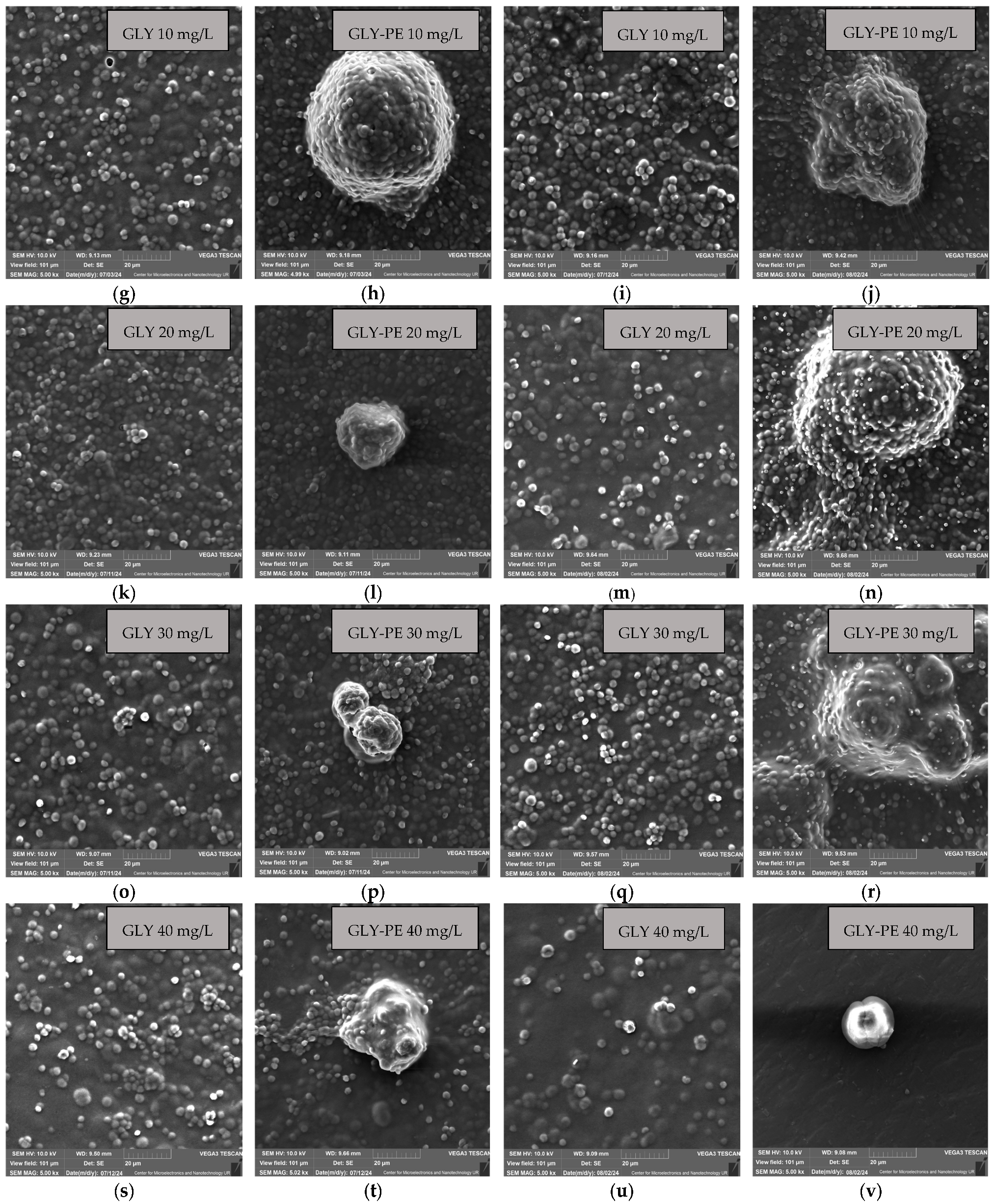 Molecules 30 03972 g003b Molecules 30 03972 g003b