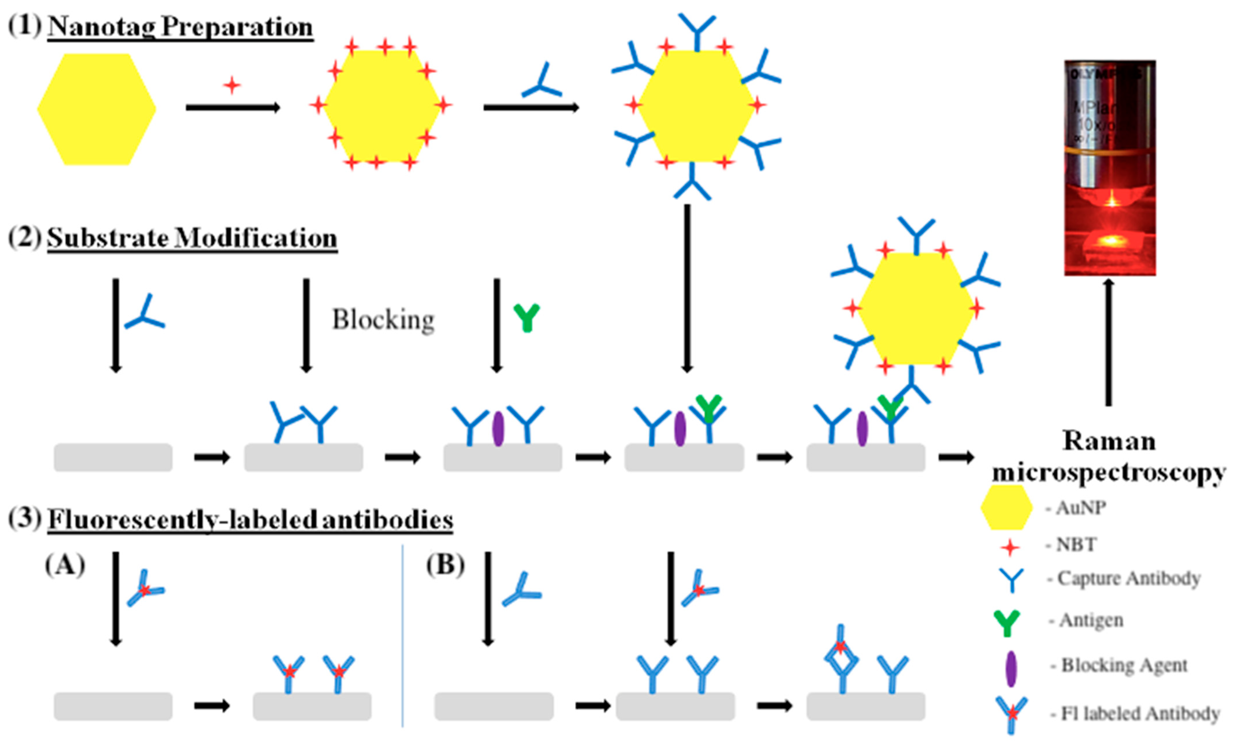 Molecules 30 03974 g005 Molecules 30 03974 g005