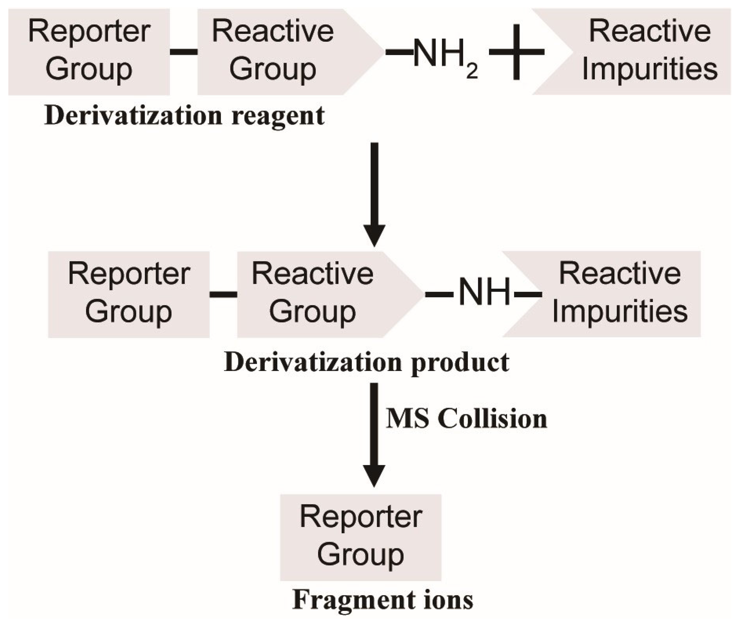 Molecules 30 03981 g001