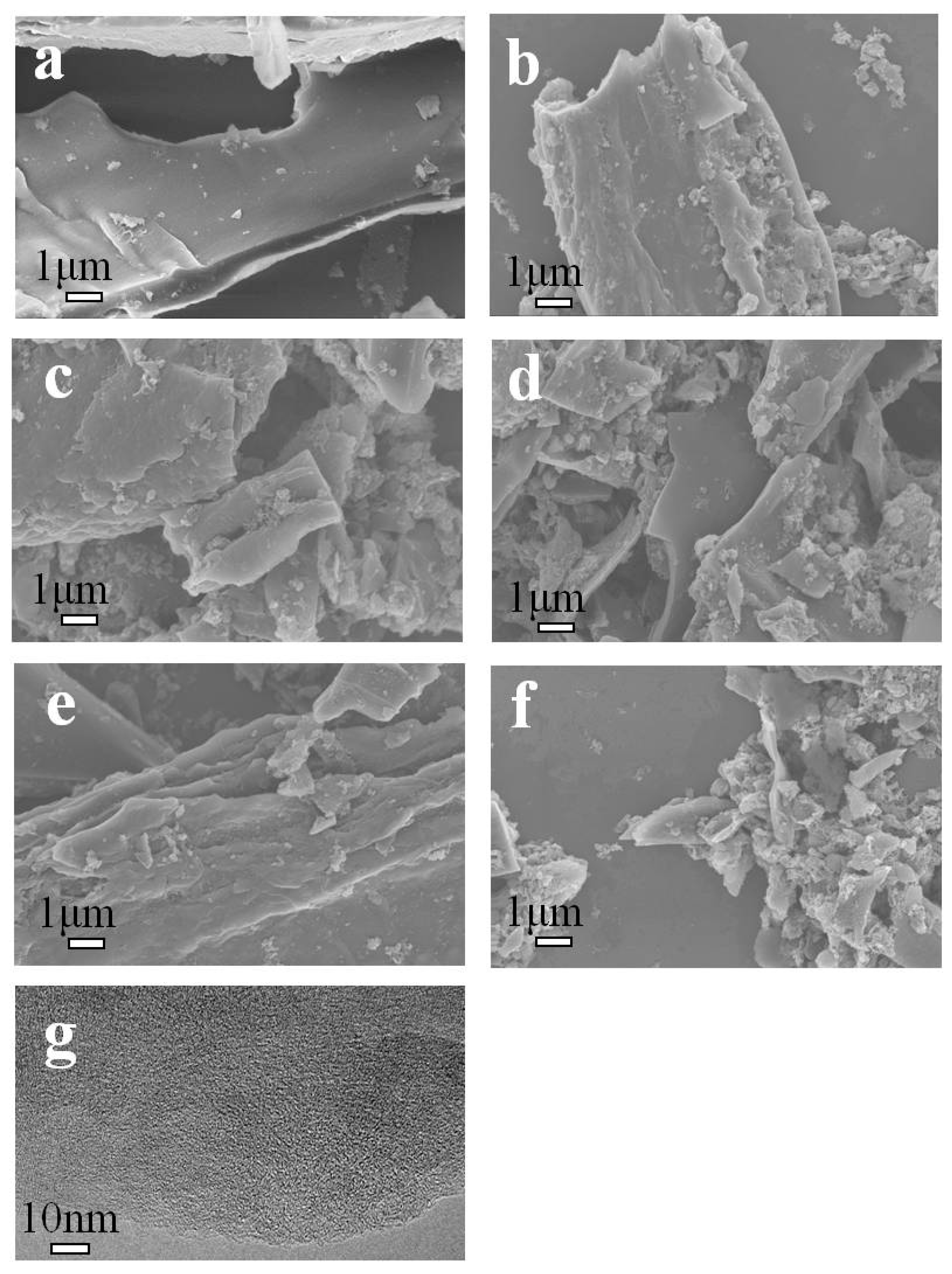 Molecules 30 03990 g001